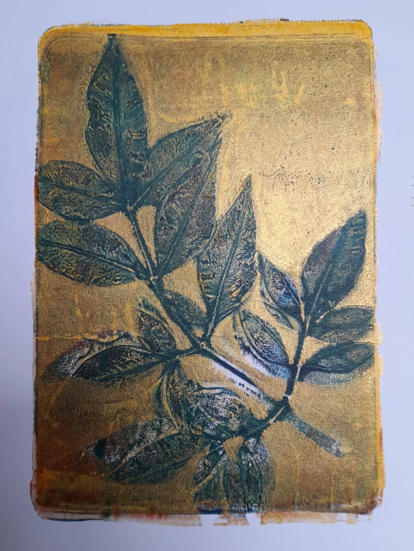 WhatsApp Image 2023-01-26 at 15.53.30 (1).jpeg