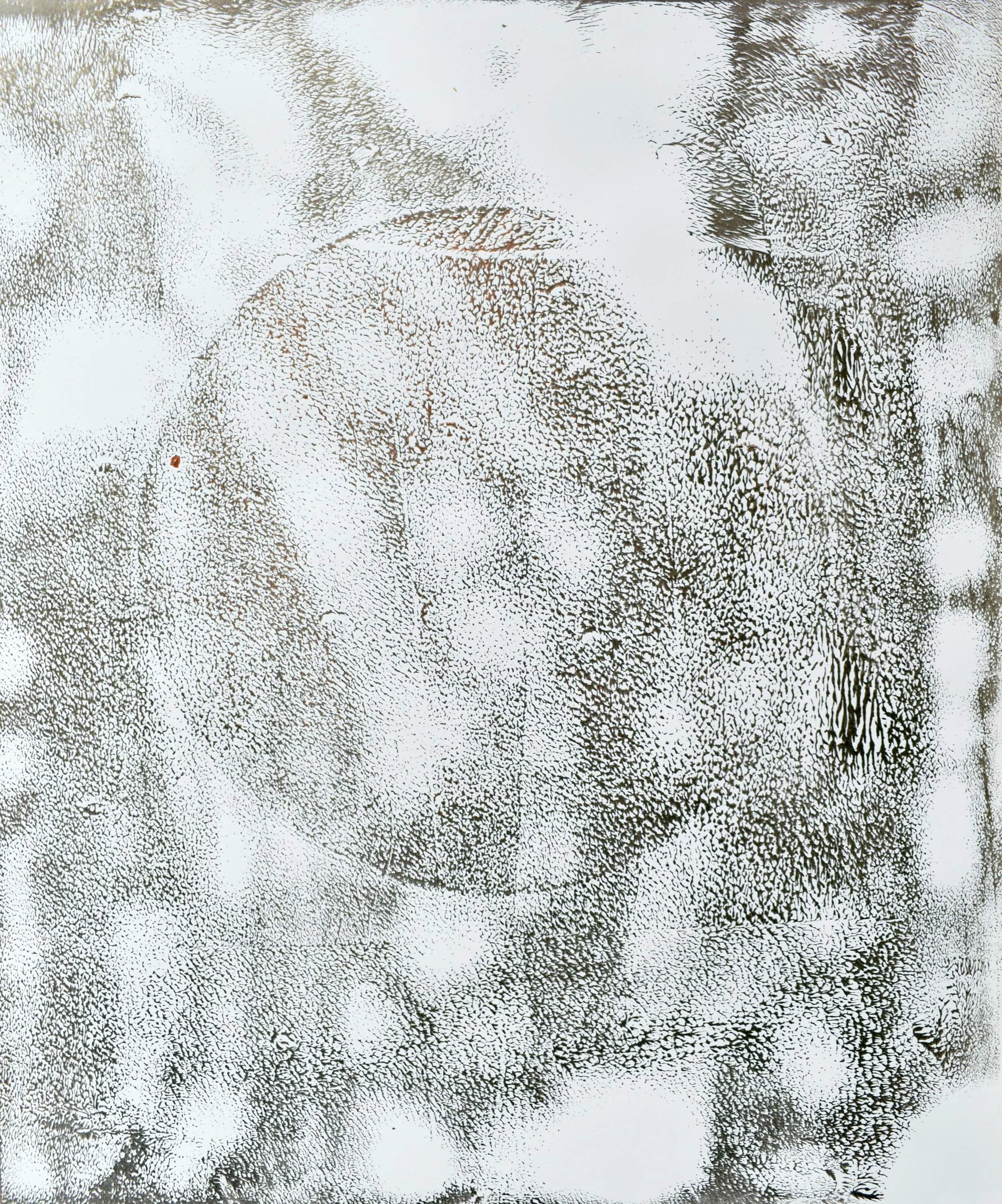_DSC1251.jpeg