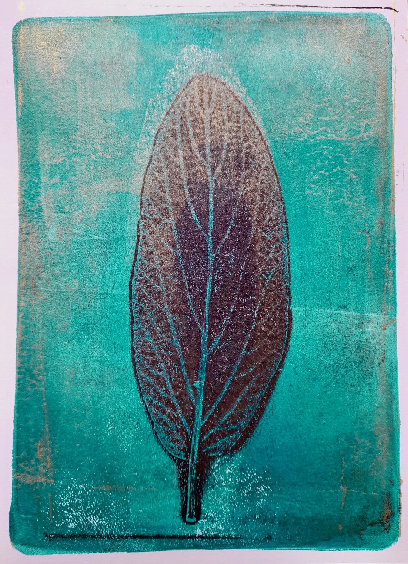 WhatsApp Image 2023-02-28 at 10.50.22 (1).jpeg