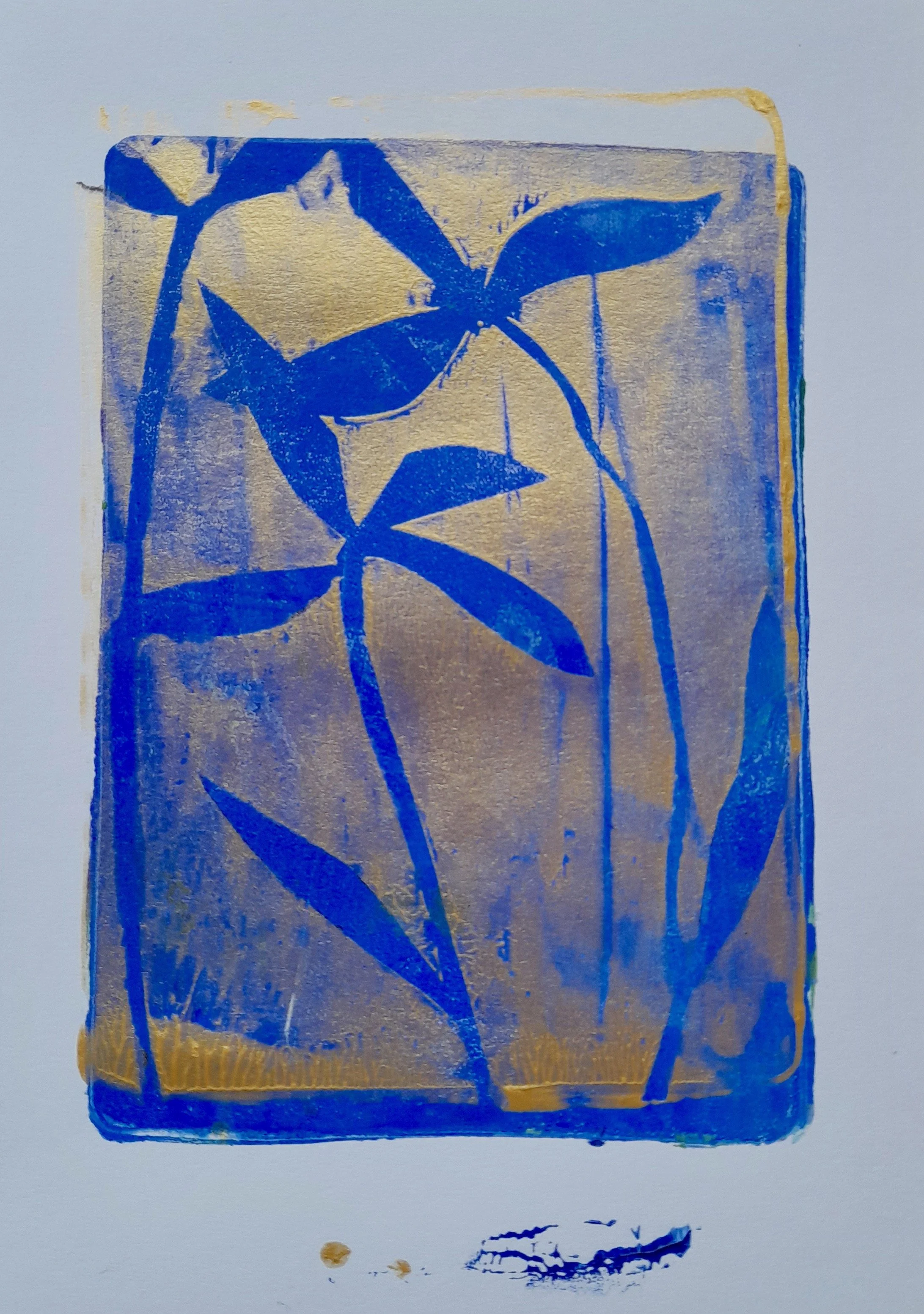 20221231_093554 (1).jpeg