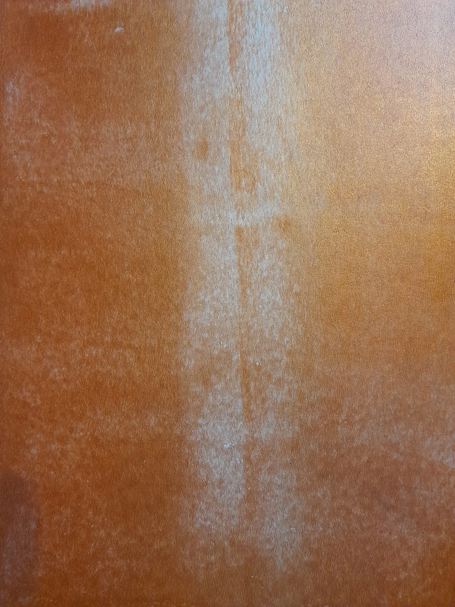 WhatsApp Image 2024-12-16 at 17.19.40-2.jpeg