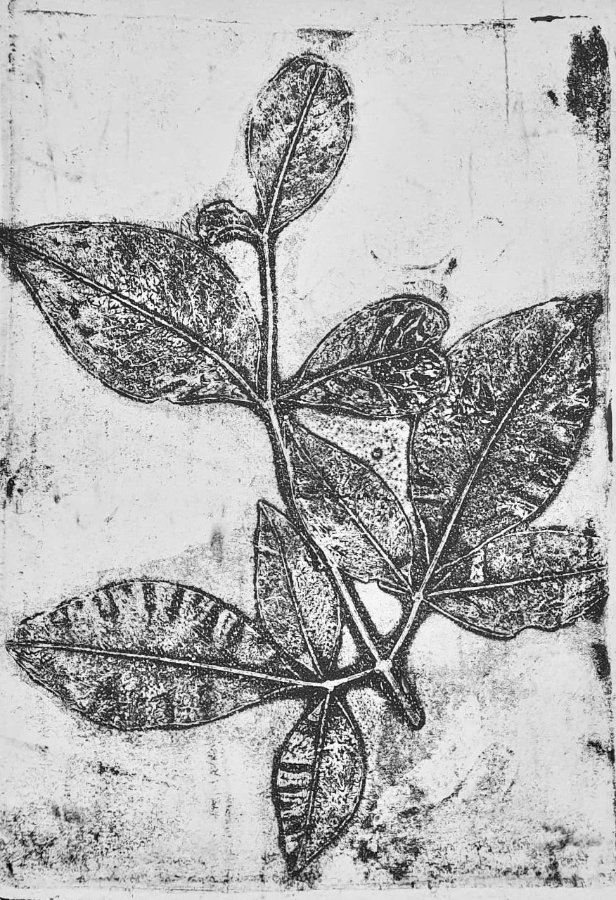 WhatsApp Image 2023-01-31 at 09.52.43 (1).jpeg