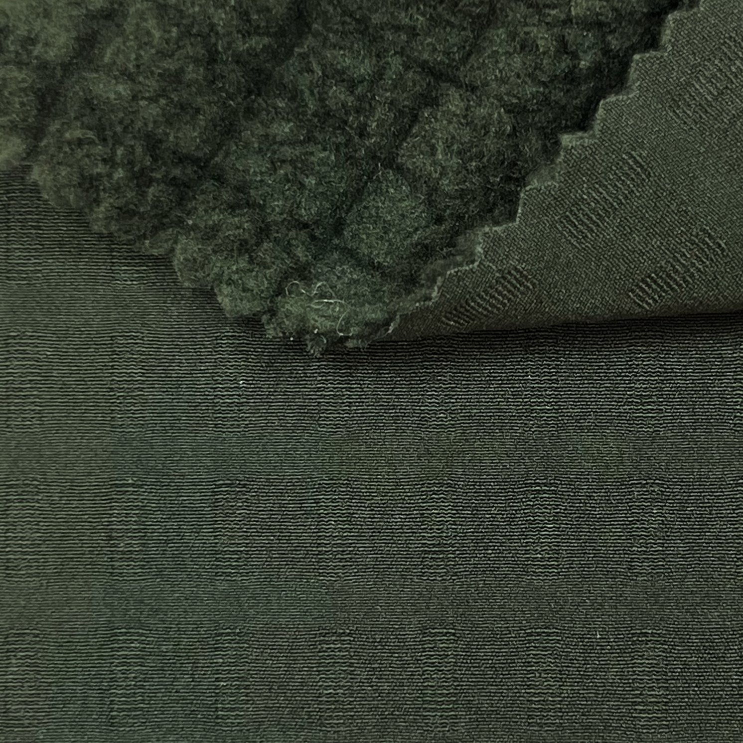 P05810A2_.jpg