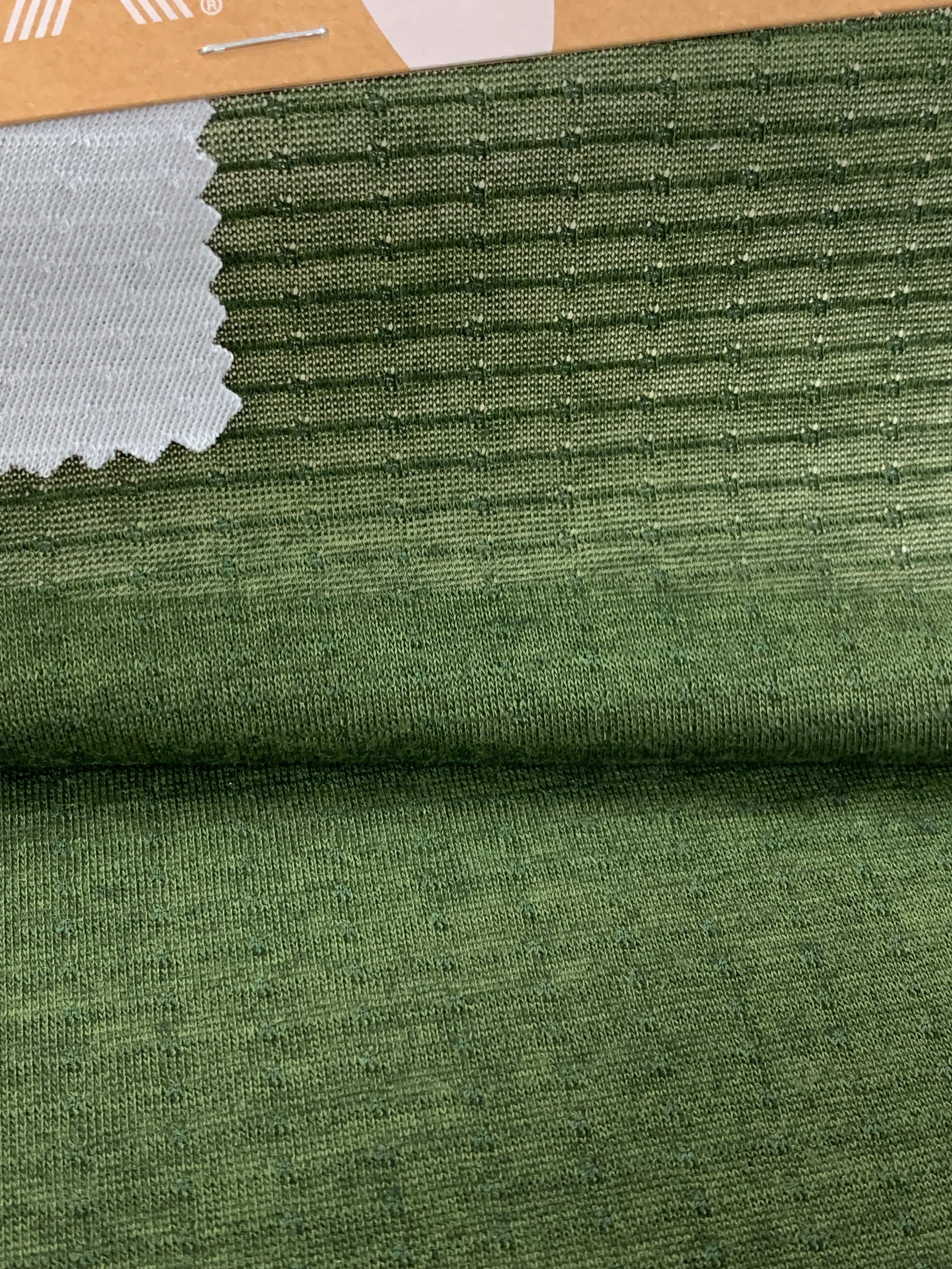 S__16810066_0.jpg