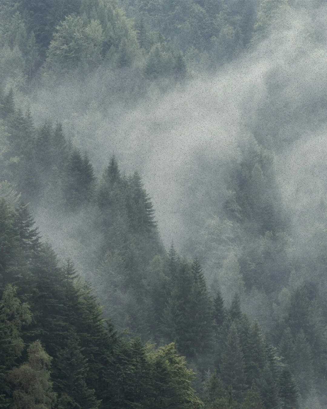 Inspired by nature, designed for future. 🌲☁️
Eco-efficient fabrics crafted to echo the calm and resilience of the natural world. 🌍♻️

#labtexcoltd #labtex #innovativematerials #sustainablefabrics #sustainabledevelopment #trendforecasting #EcoEffici