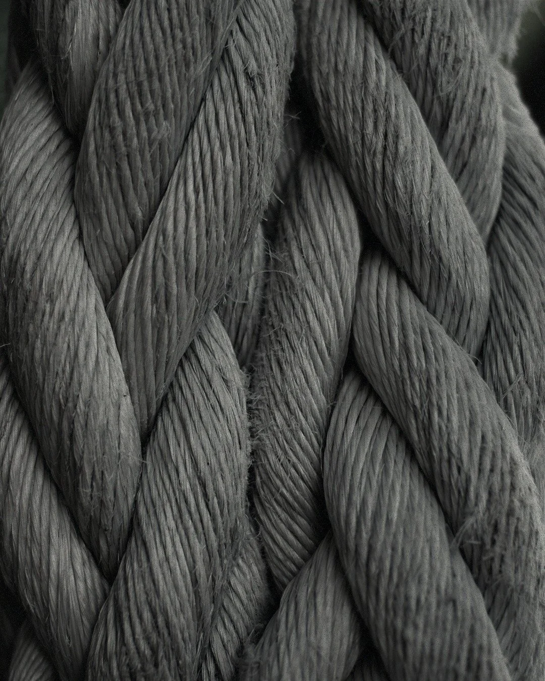 Inspired by strength, woven with purpose. 🪢
Textiles that echo resilience, stability, and

#labtexcoltd #labtex #innovativematerials #sustainablefabrics #sustainabledevelopment #trendforecasting #StrongWeave #FabricInnovation #TextileDesign #Labtex 