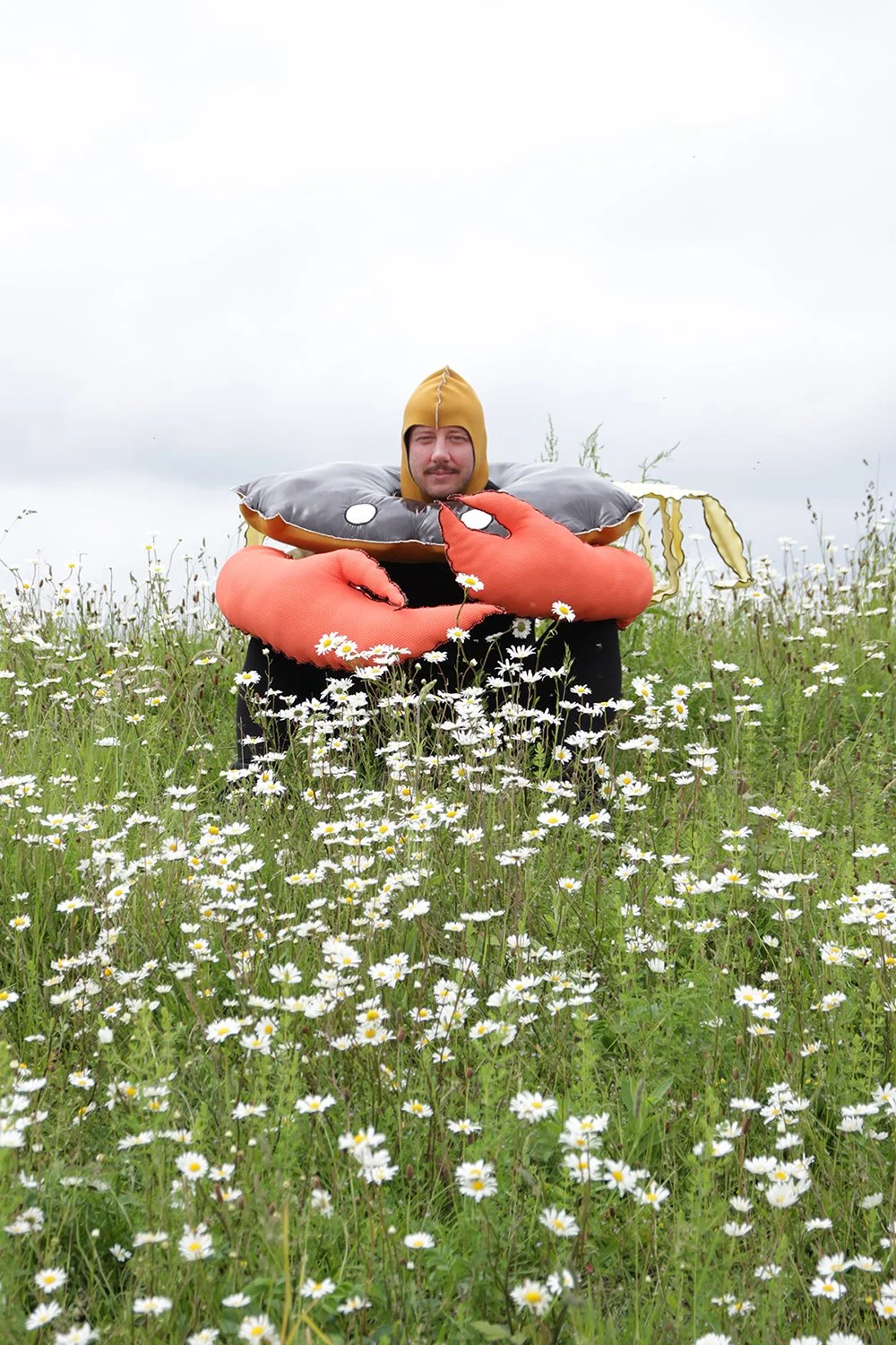Zuiderzeekrab gezocht
