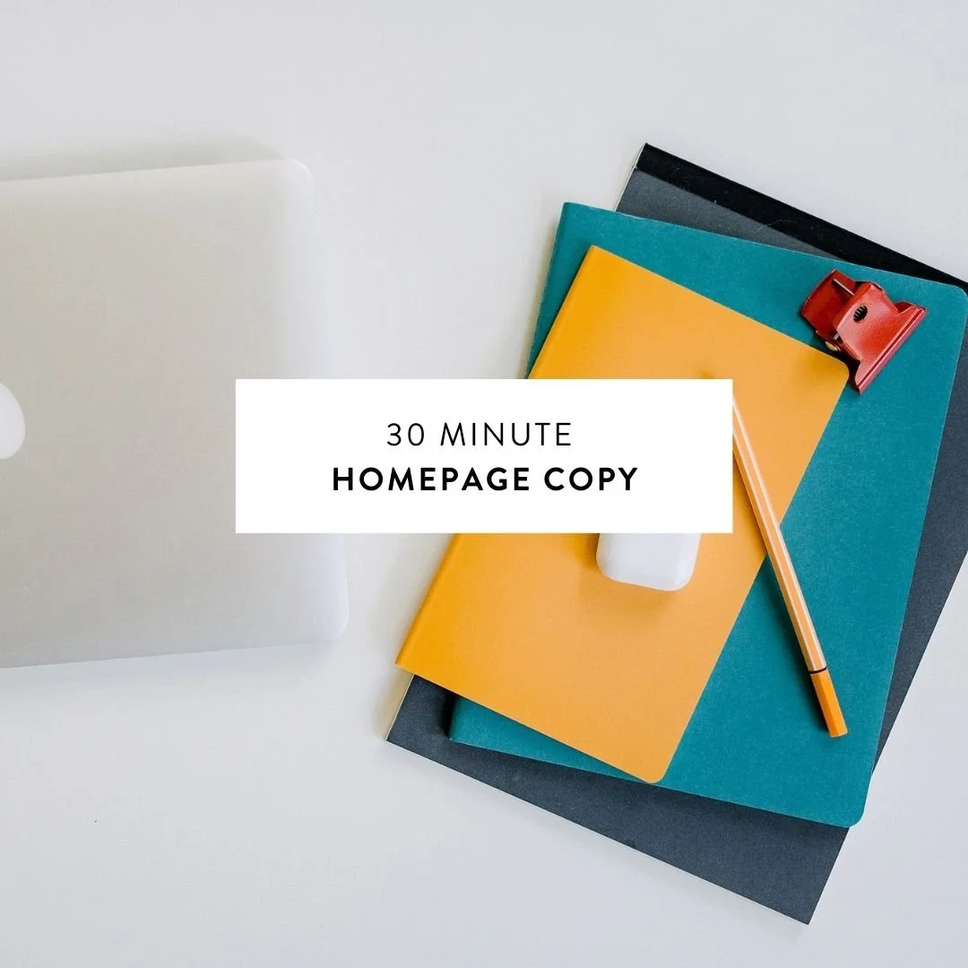 30 Minute Homepage Text - Workbook and Training