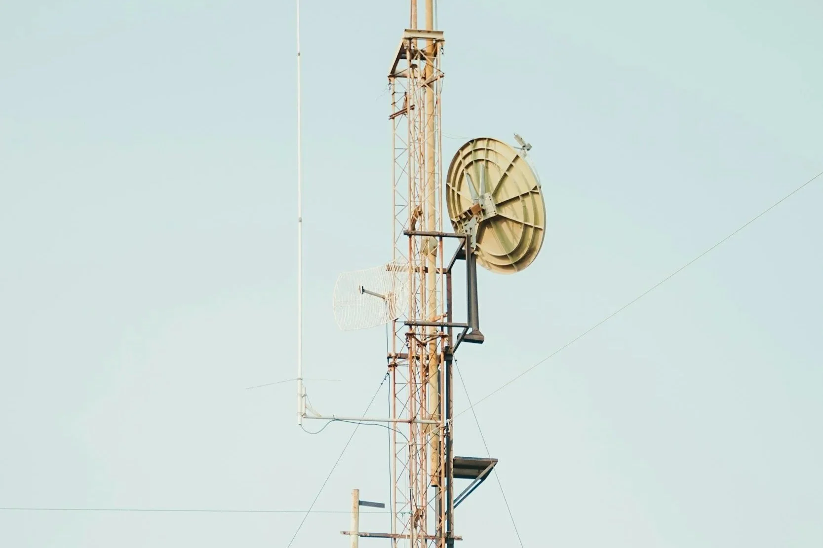 Amplifying your think tank research