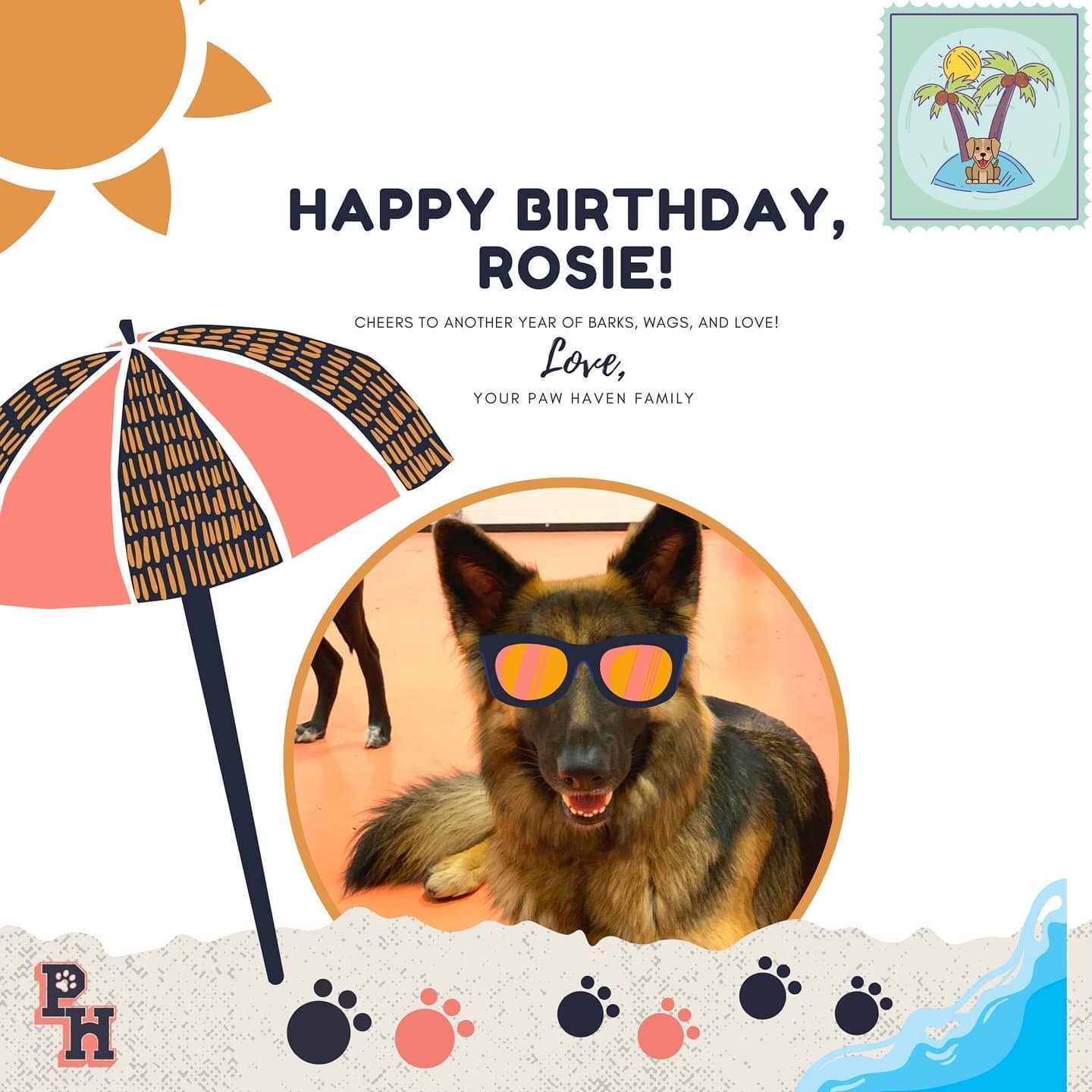 MORE BIRTHDAY PUPCARDS FOR OUR MAY HAPPY BIRTHDAYS ROUND 2! 🎂 🥳 let's PAWTY 🐾 Love, your pack
.
.
#pawhavendiaries #pawhavenct #birthdayshenanigans