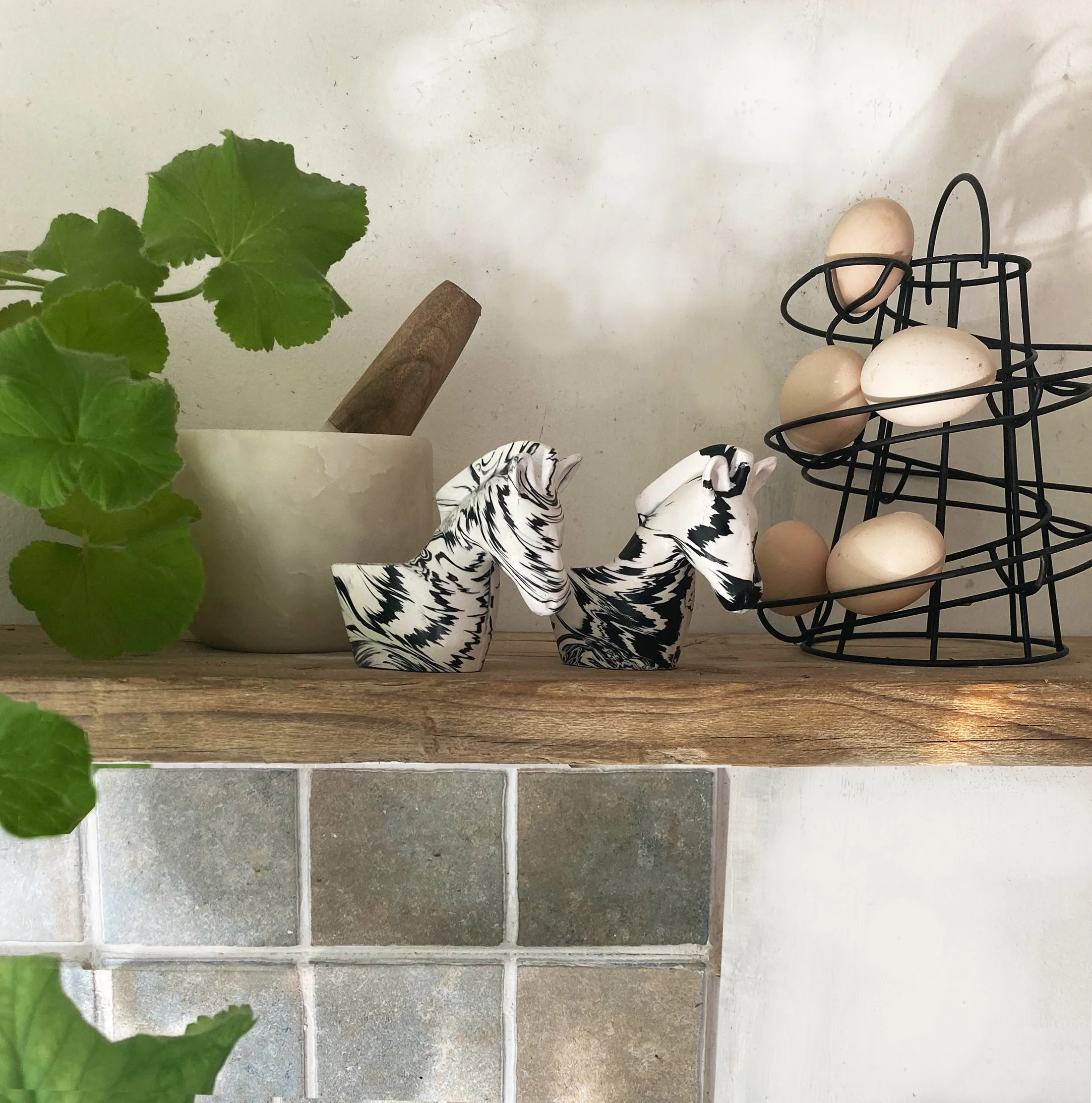 zebrasshelf.jpg