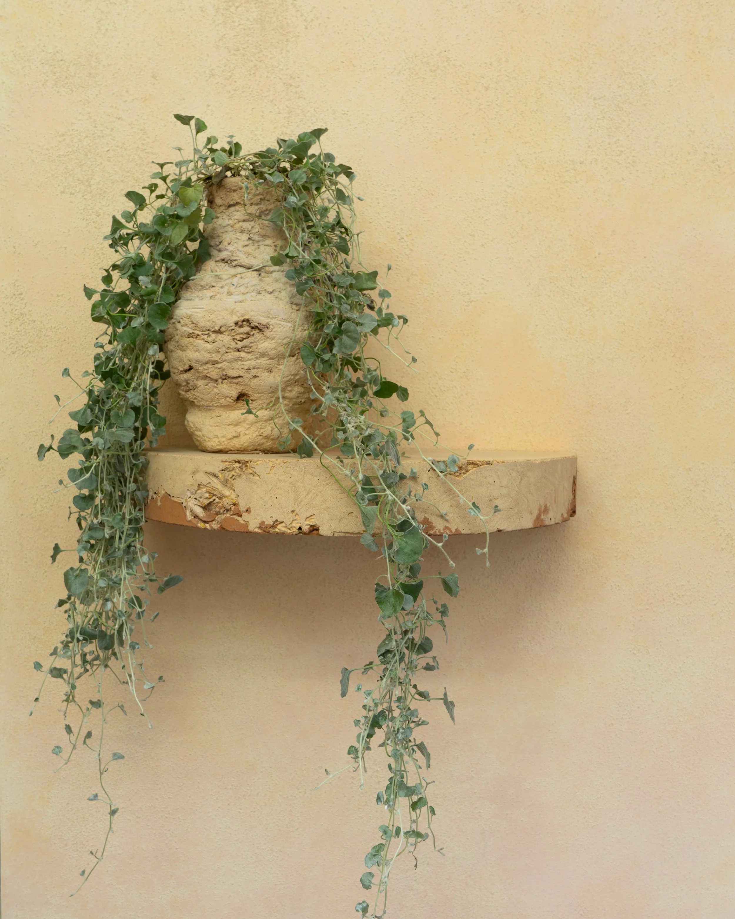SHELF-1.jpg