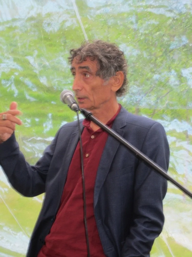 Gabot Maté