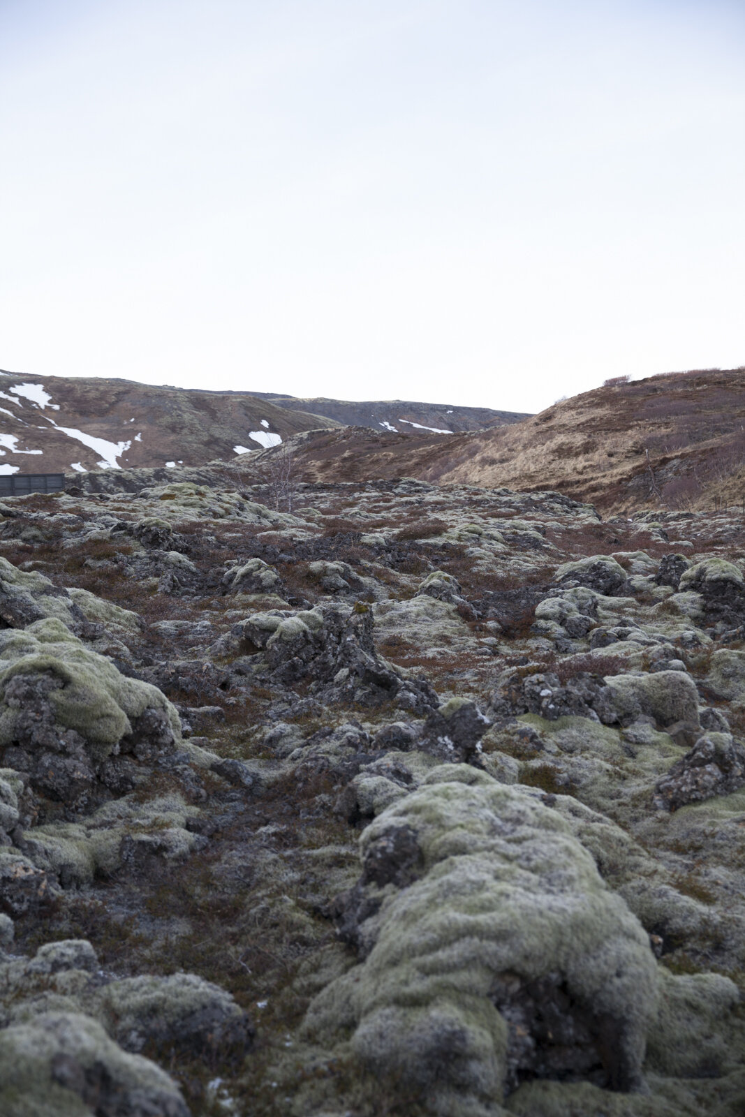 2018_iceland-99.jpg