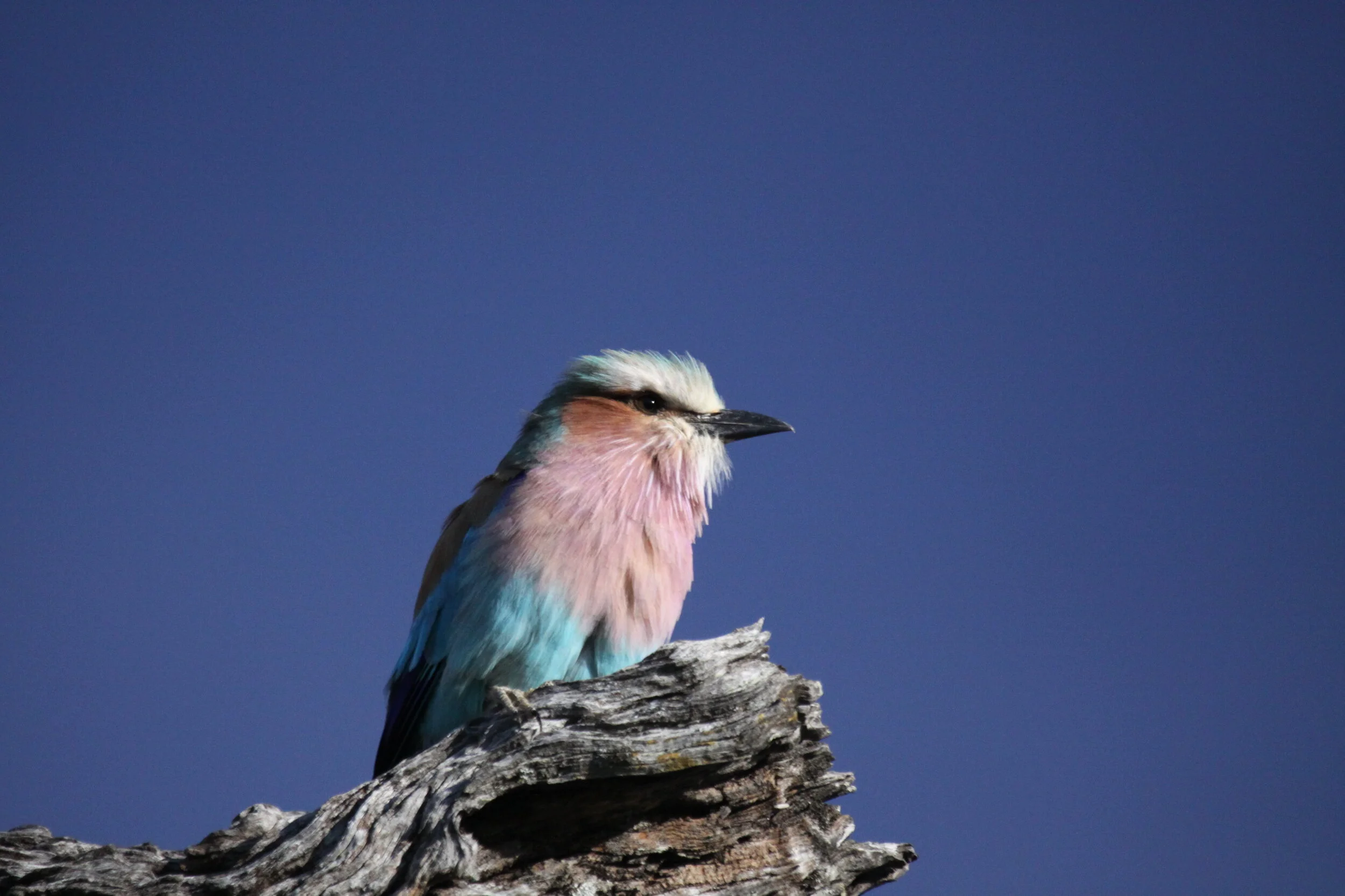 AlysonSmith -20100501-IMG_5593.JPG