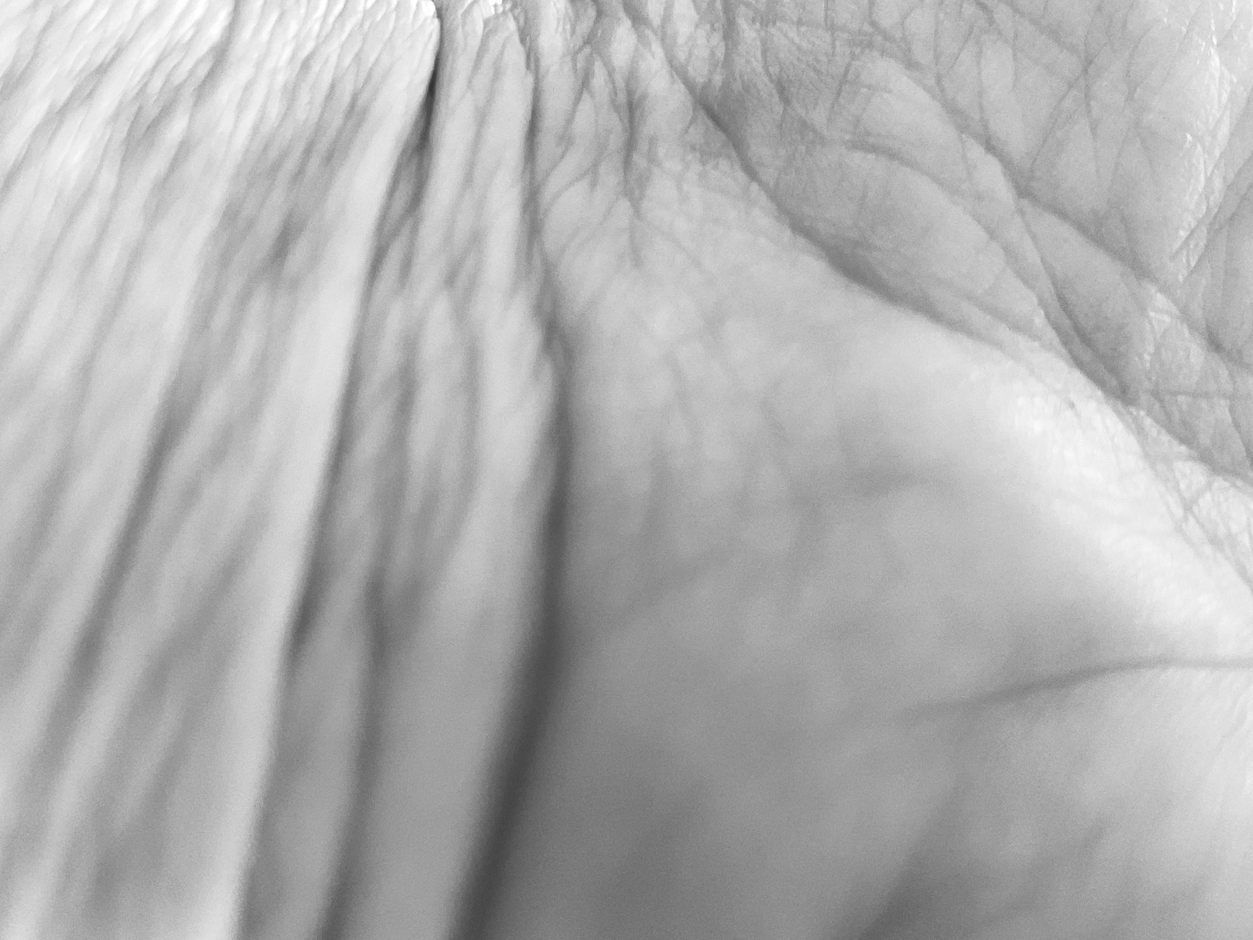 20221106- aging -20221106- aging -IMG_3640.jpg