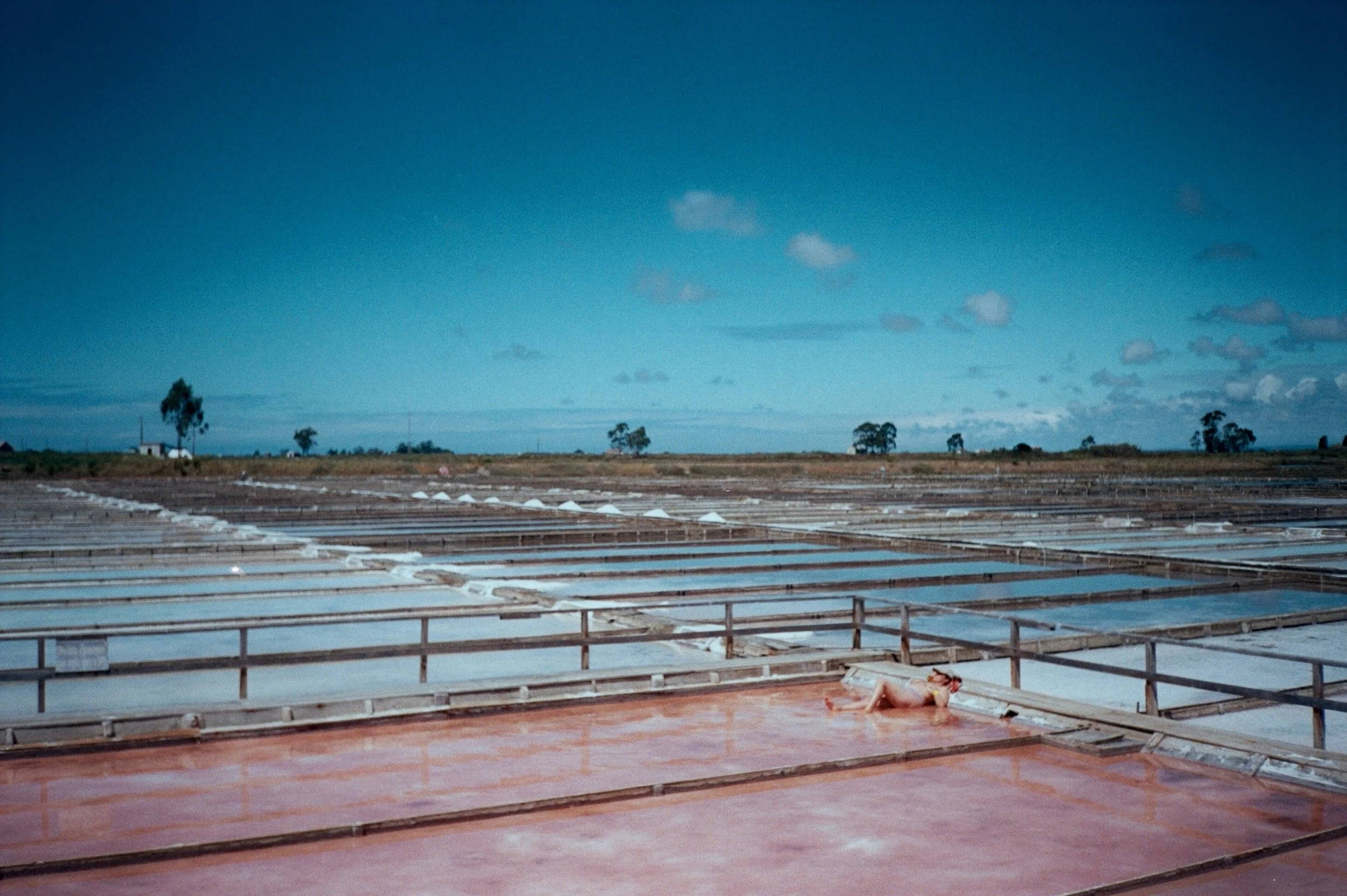 6e818-03.jpg