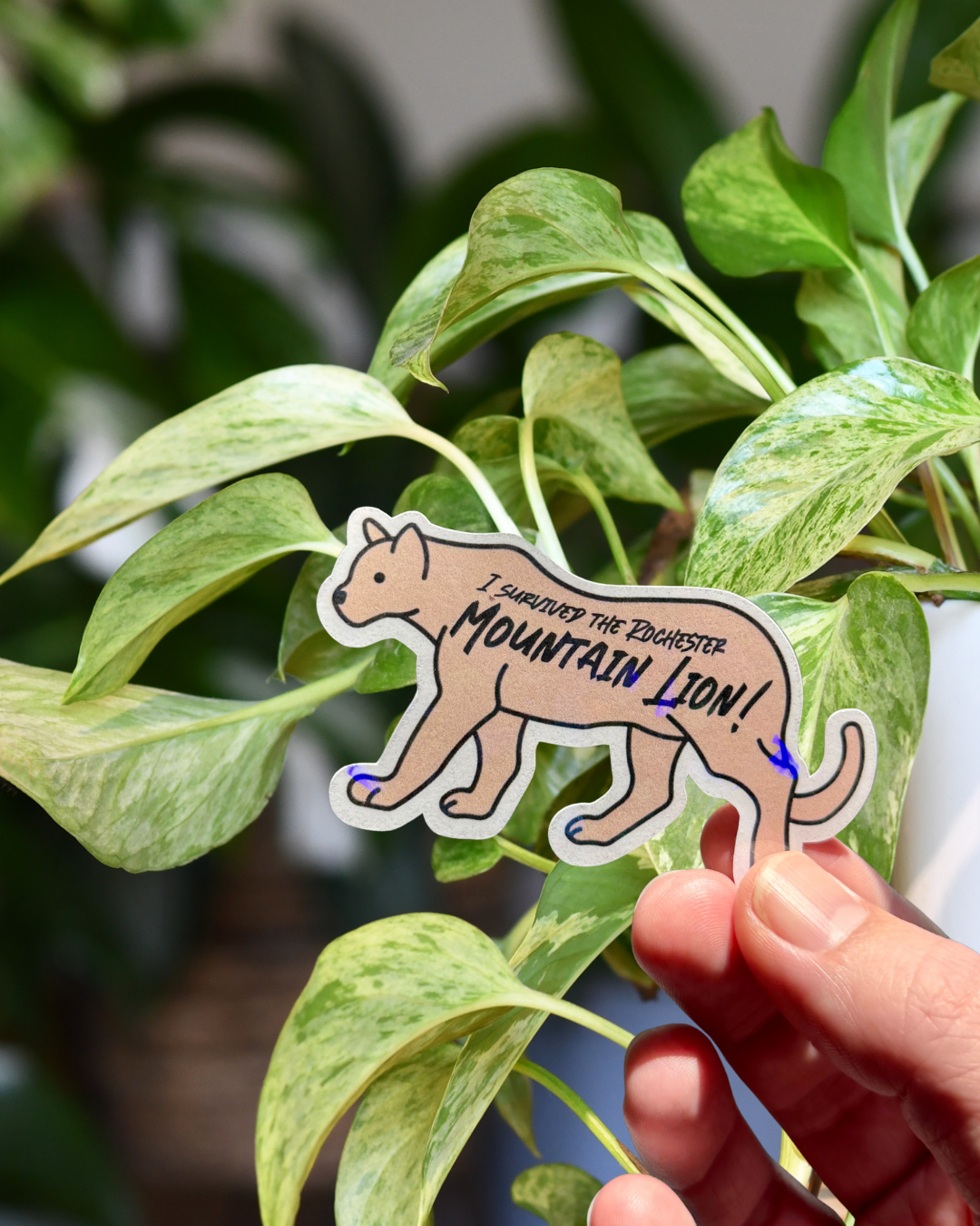mountainlion_pothos.png
