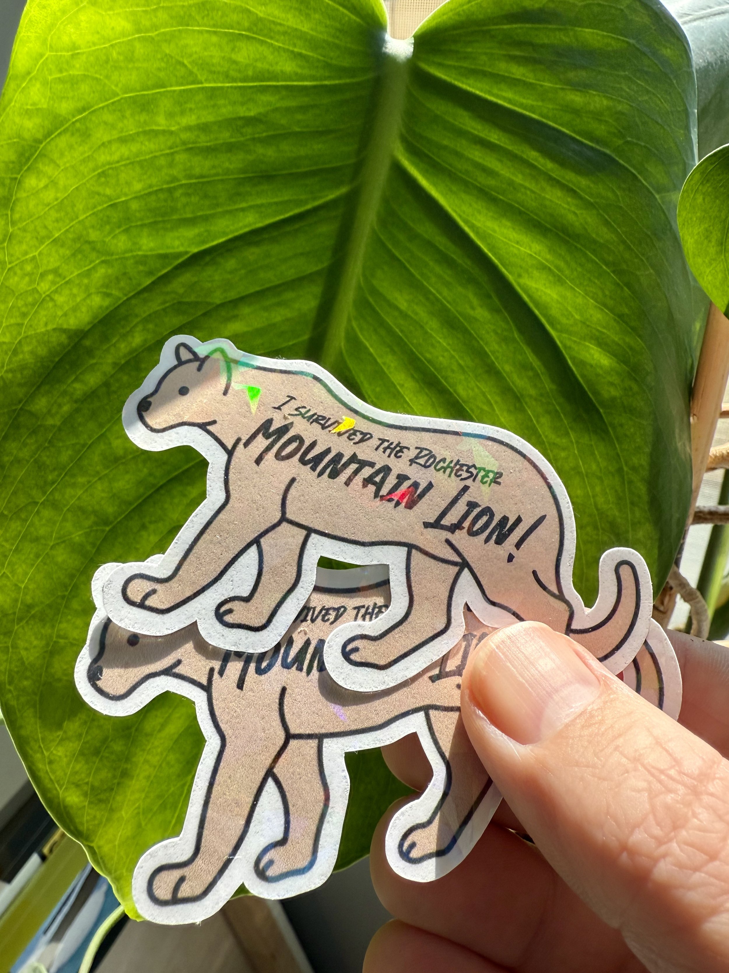 mountainlion_monstera.jpeg