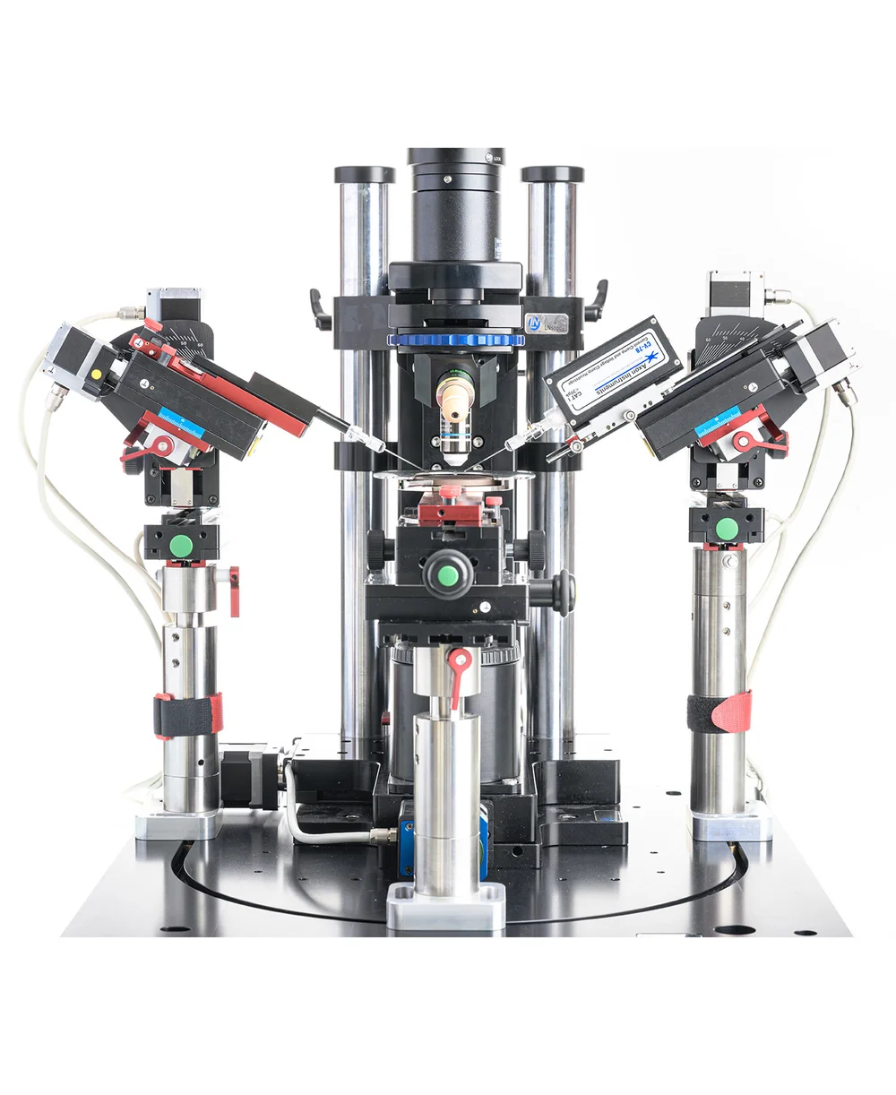 Mini — Luigs & Neumann GmbH