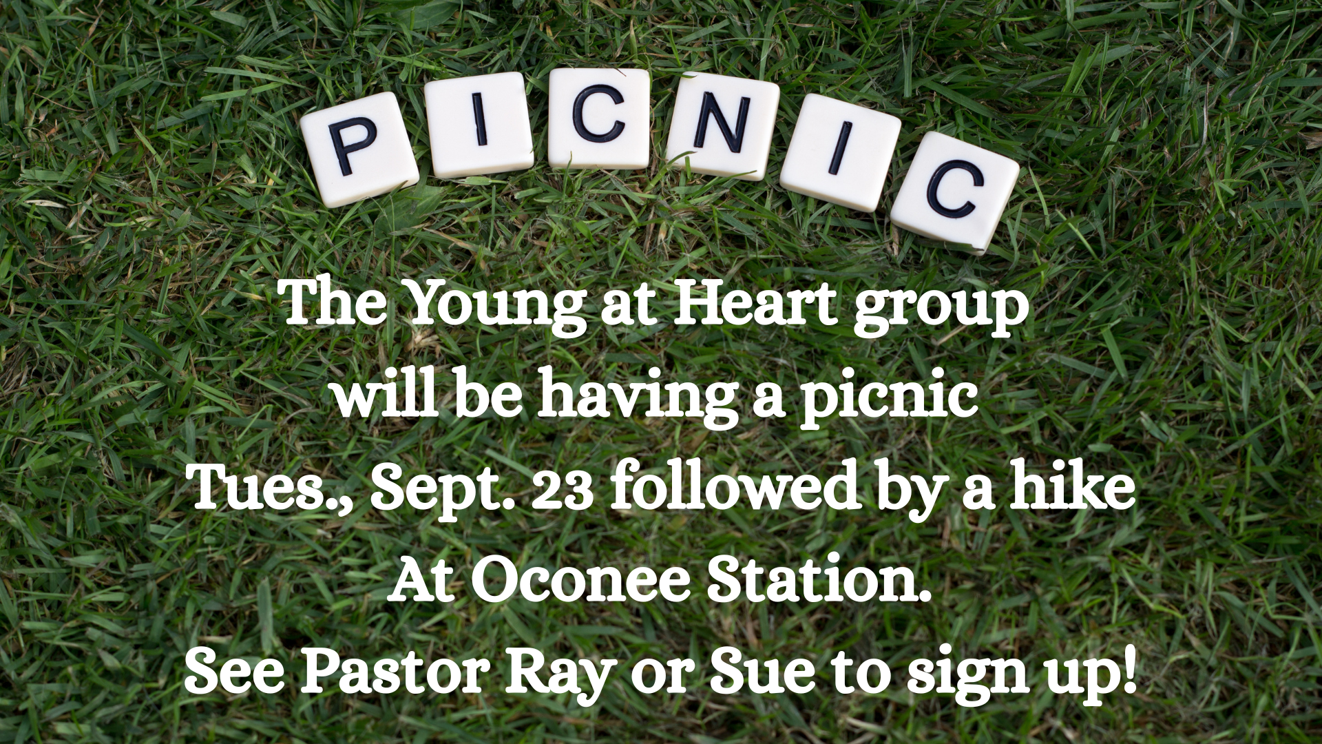 Young At Heart Picnic & Hike