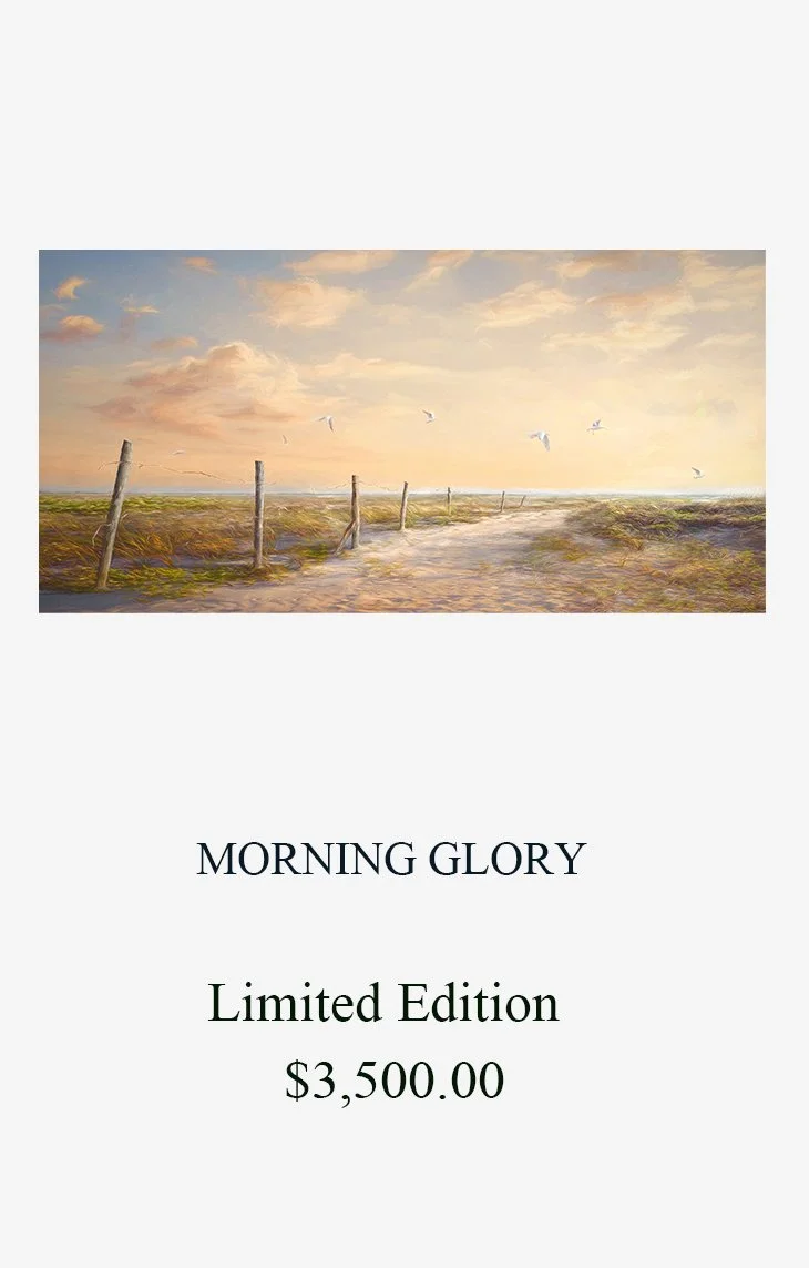 Morning glory