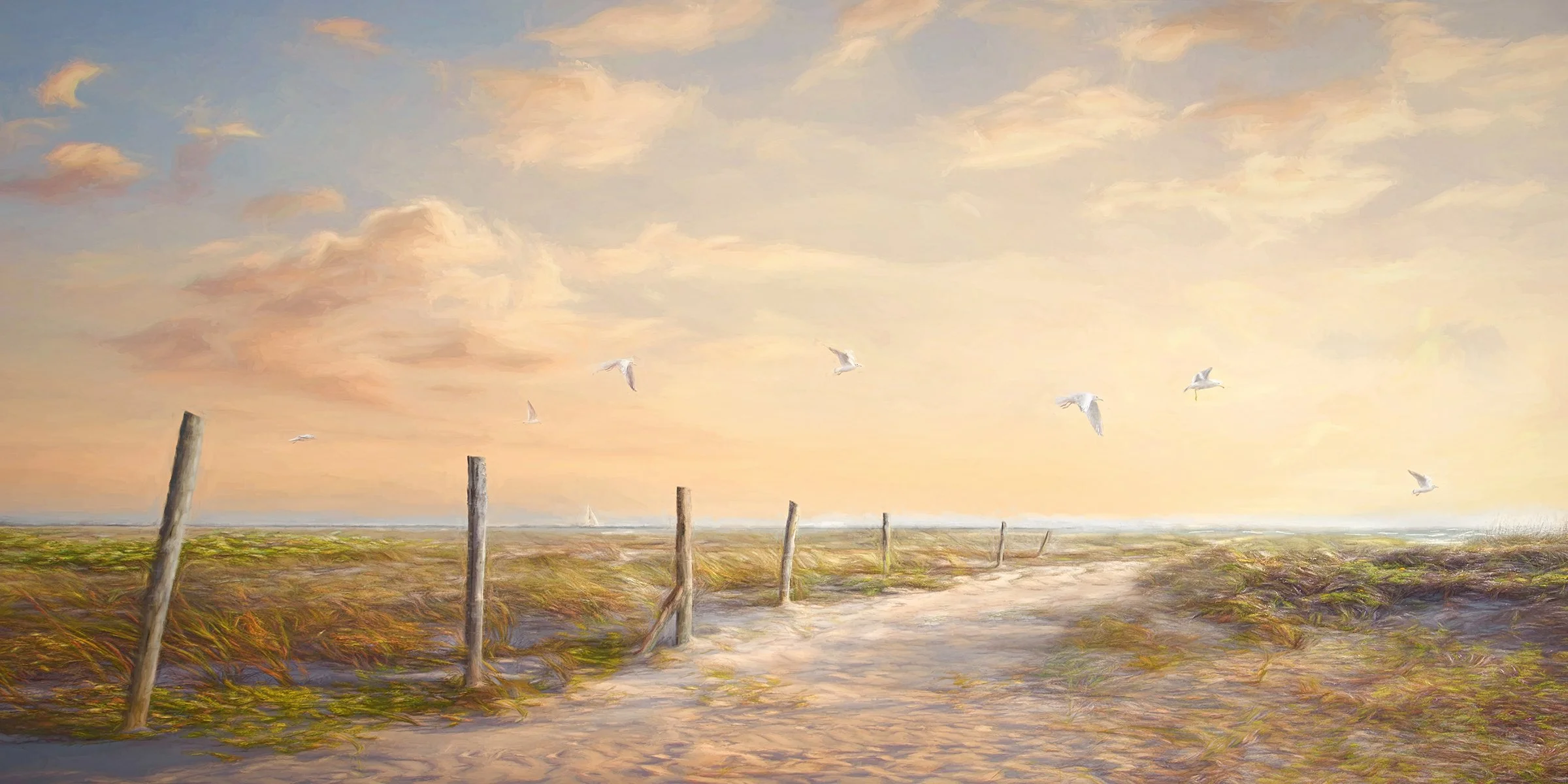 Morning Glory.jpg
