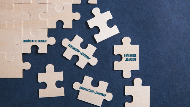 Olika ledarskapsstilar