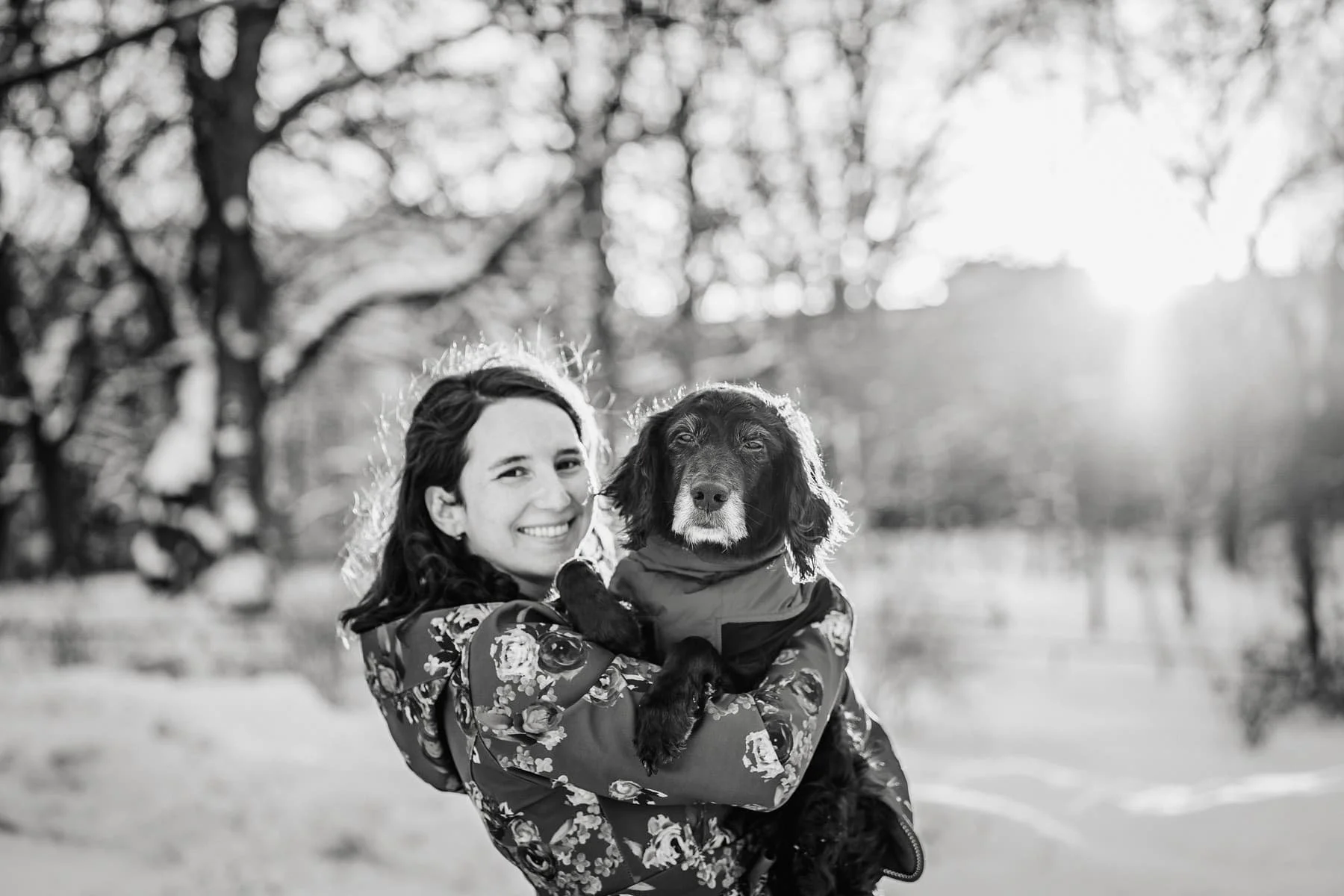 Hundfotograf i Stockholm