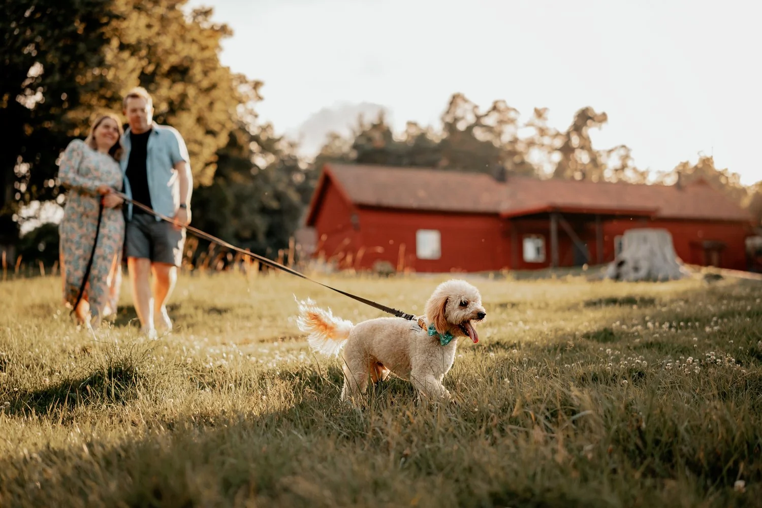 Par med pudel hund i Nyckelviken, Stockholm