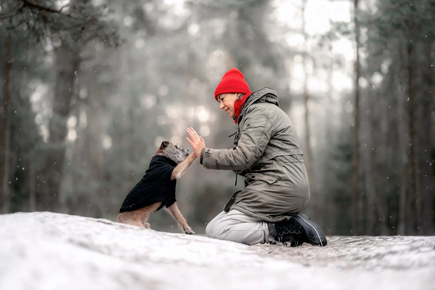 hund snow pet owner.jpg