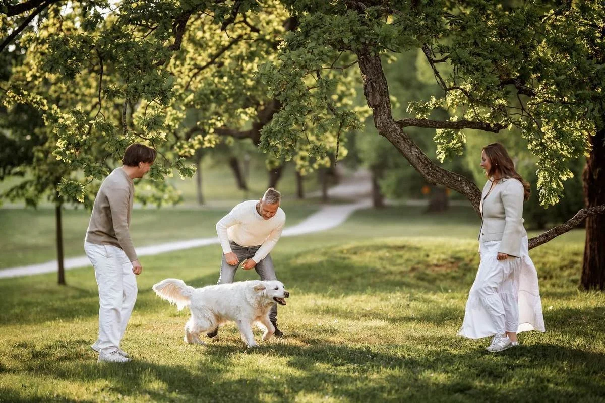 Golden retriever som springer utomhus på gräsmatta, fotograferad av Lumica.se, professionell djurfotograf.