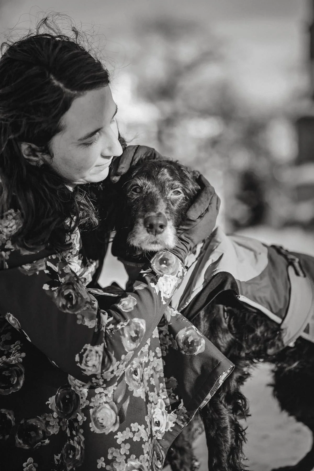 A woman holding an old dog in a end of life photography session in Stockholm