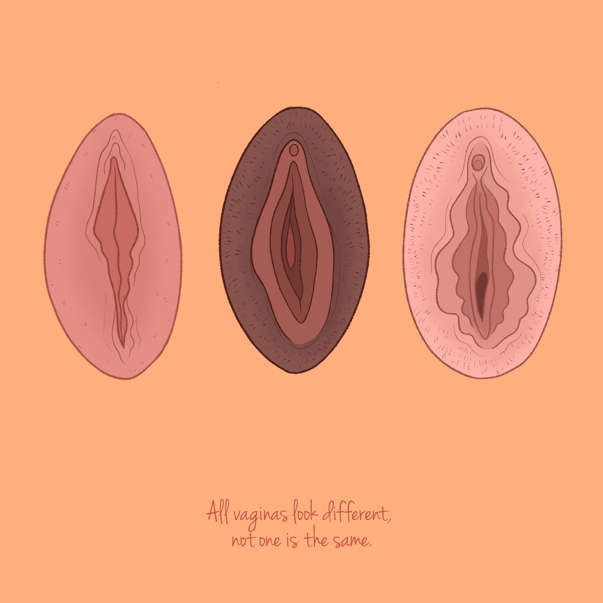 MYTH If you have lots of sex, your vagina will get loose — Vagina Museum pic