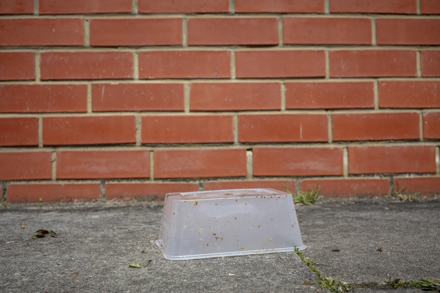 2S9A6259.jpg