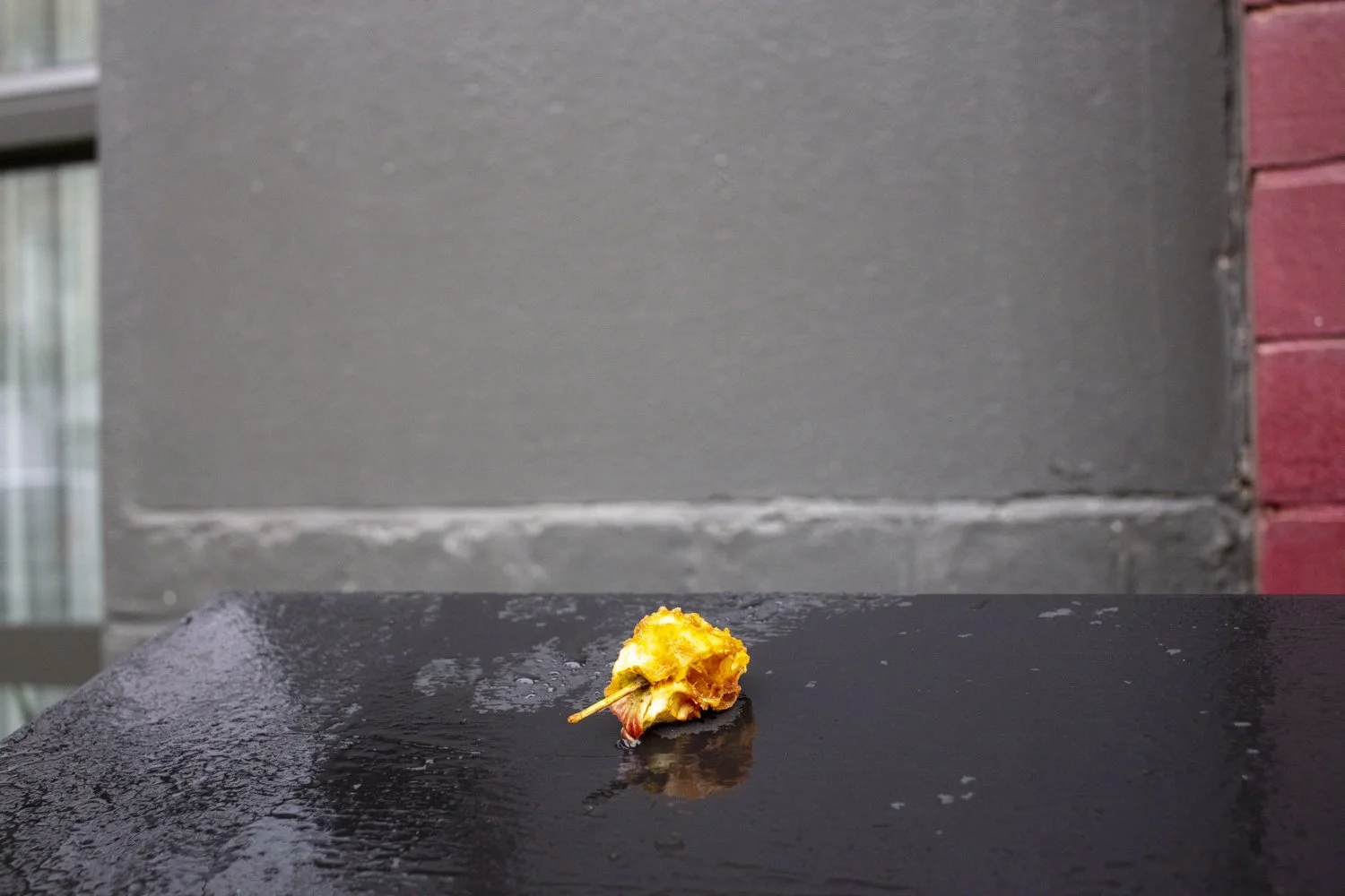 2S9A7958.jpg