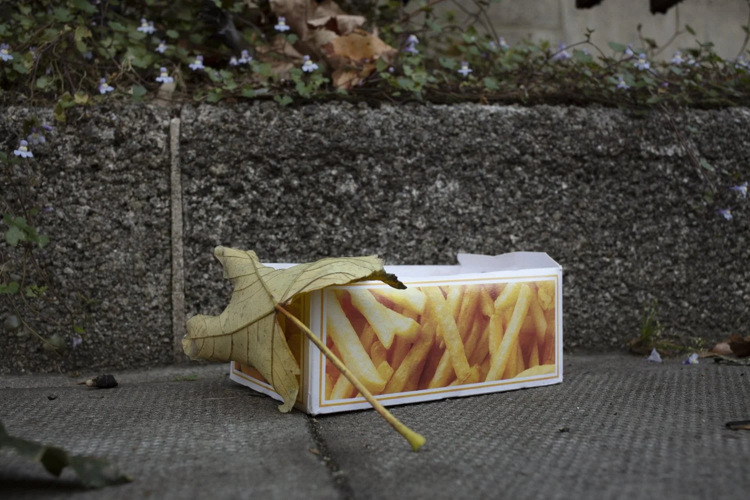 2S9A3590.jpg