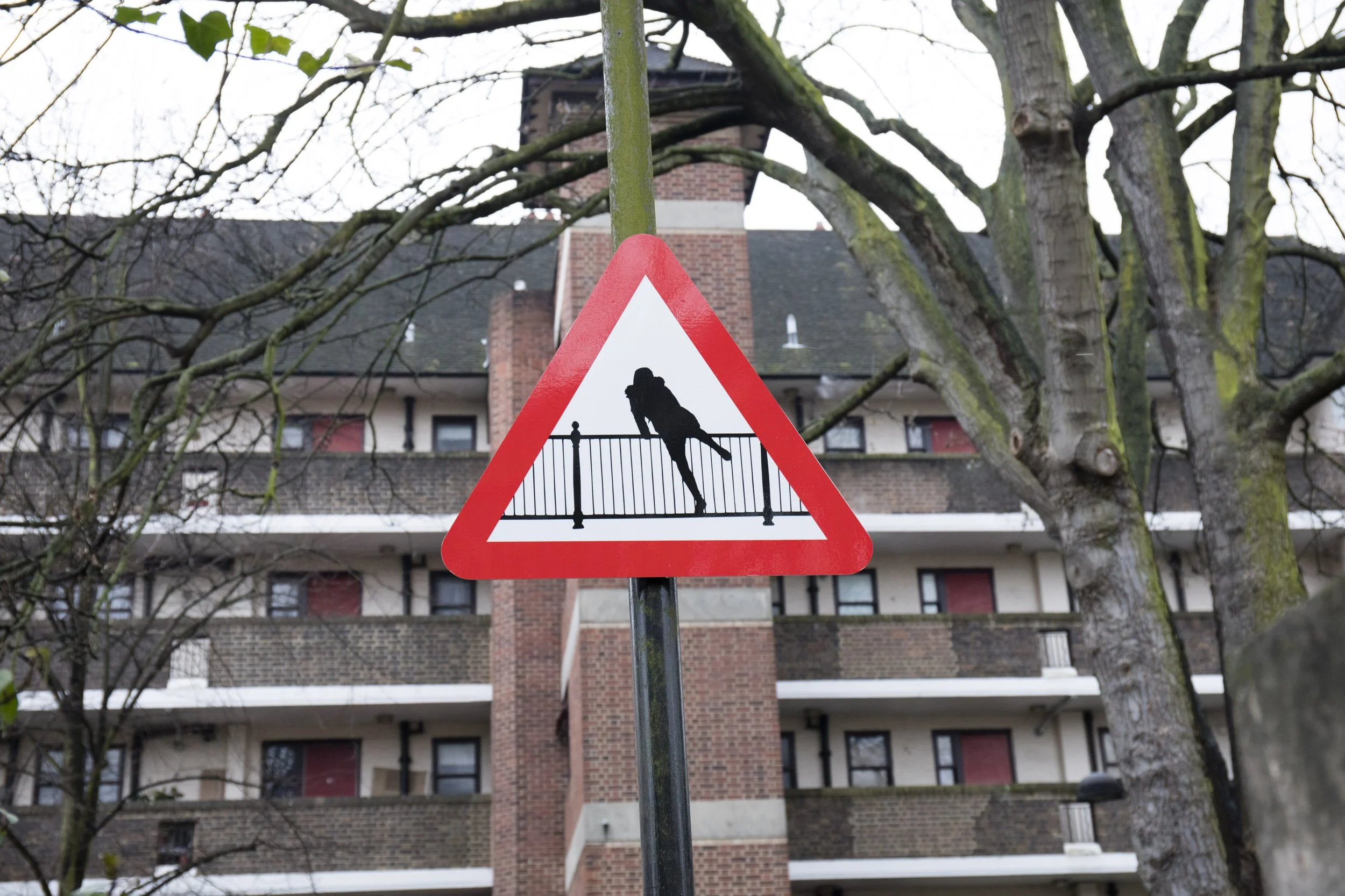 2017_02_10_15h32_franck allais_Franck Allais-2S9A4488.jpg