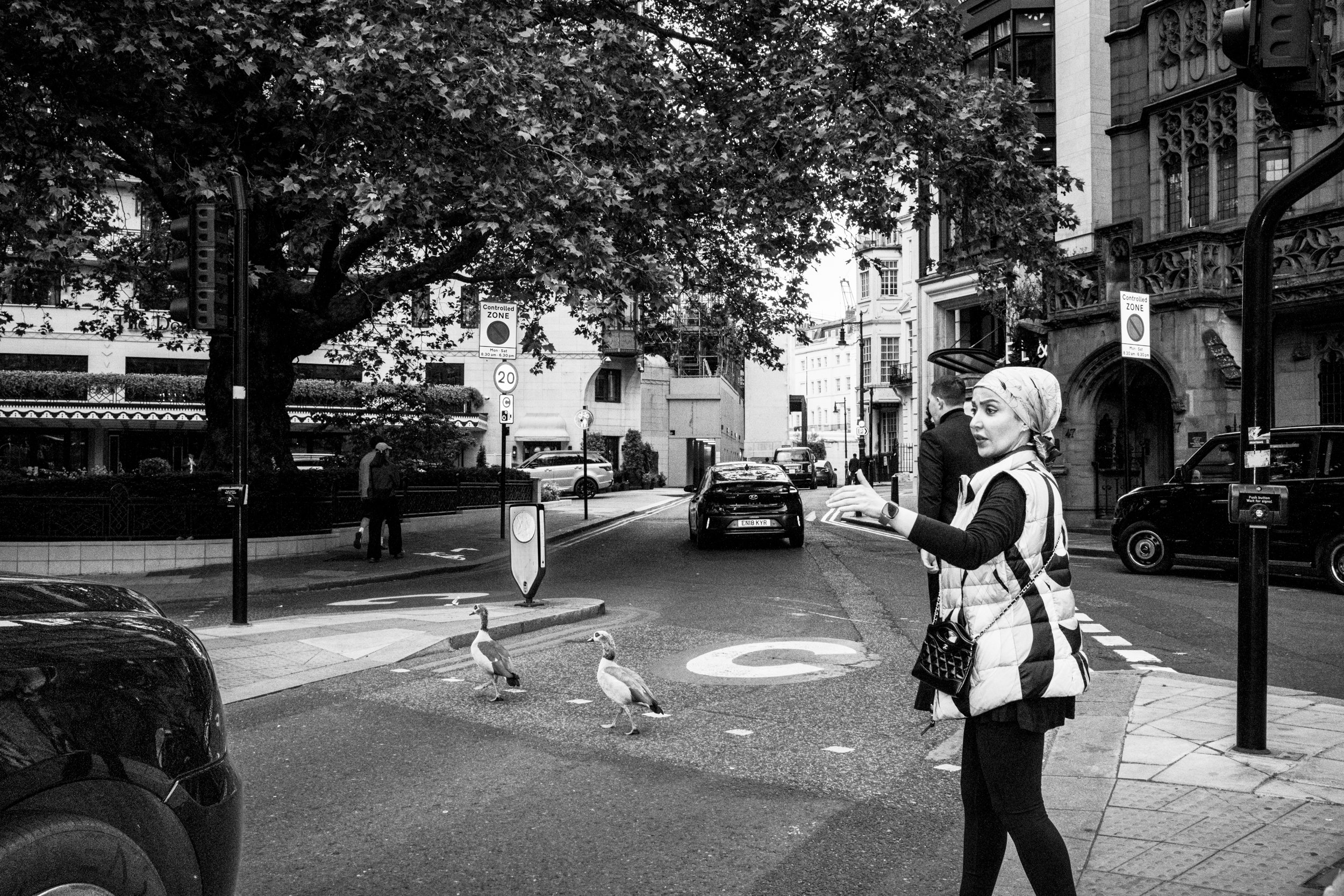 work in progress - From the series St James’s / Mayfair, London.