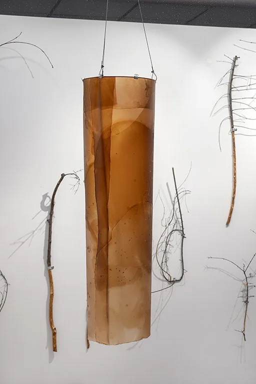 © Photo by Guy L'Heureux, Invasive Palette by Gizem Candan, 2026.