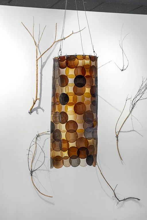 © Photo by Guy L'Heureux, Invasive Palette by Gizem Candan, 2026.