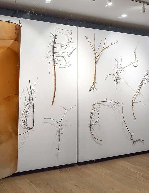 © Photo by Guy L'Heureux, Invasive Palette by Gizem Candan, 2026.