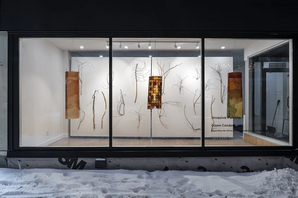 © Photo by Guy L'Heureux, Invasive Palette by Gizem Candan, 2026.