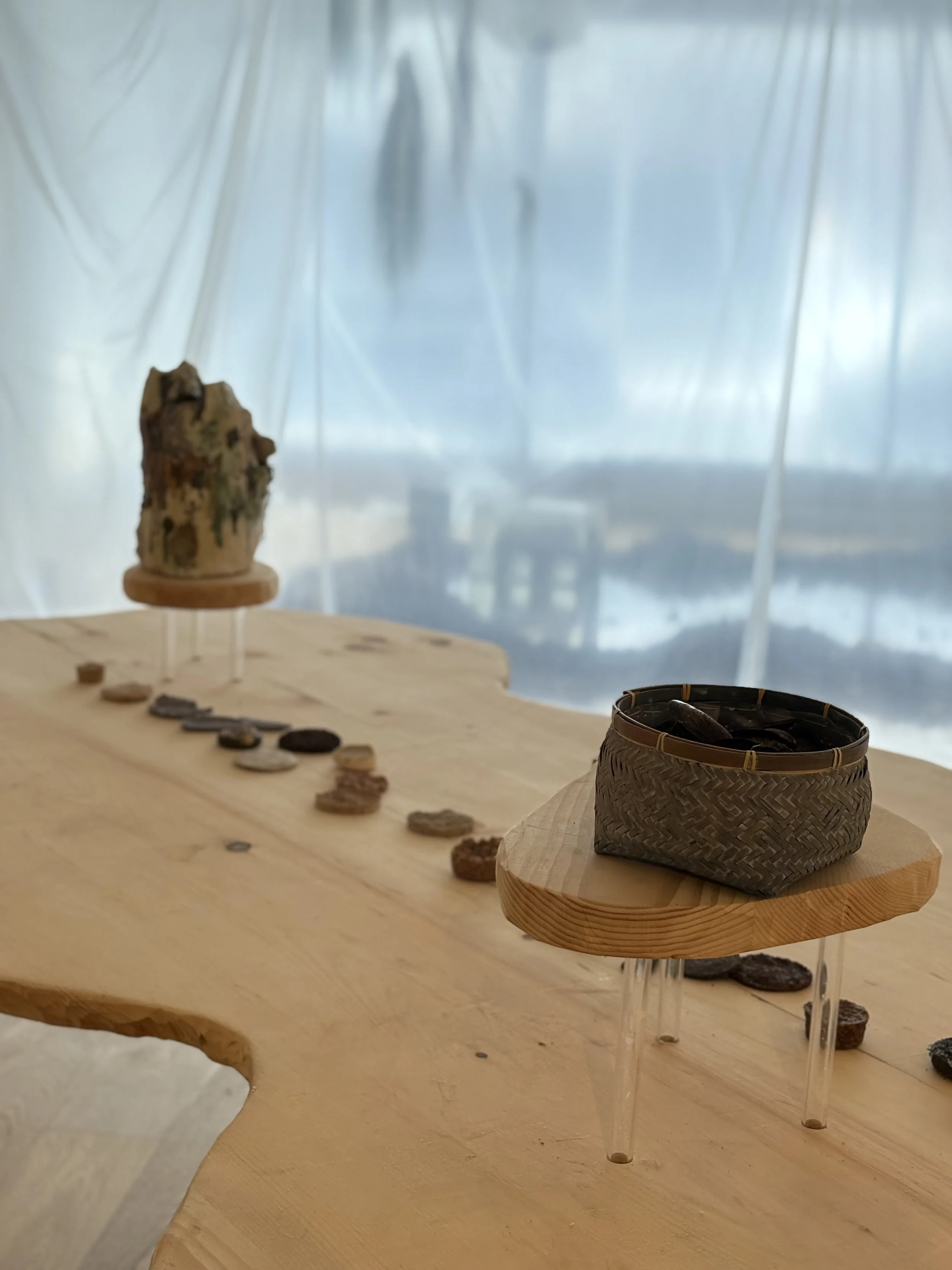 Sensorial Exploration Workshop