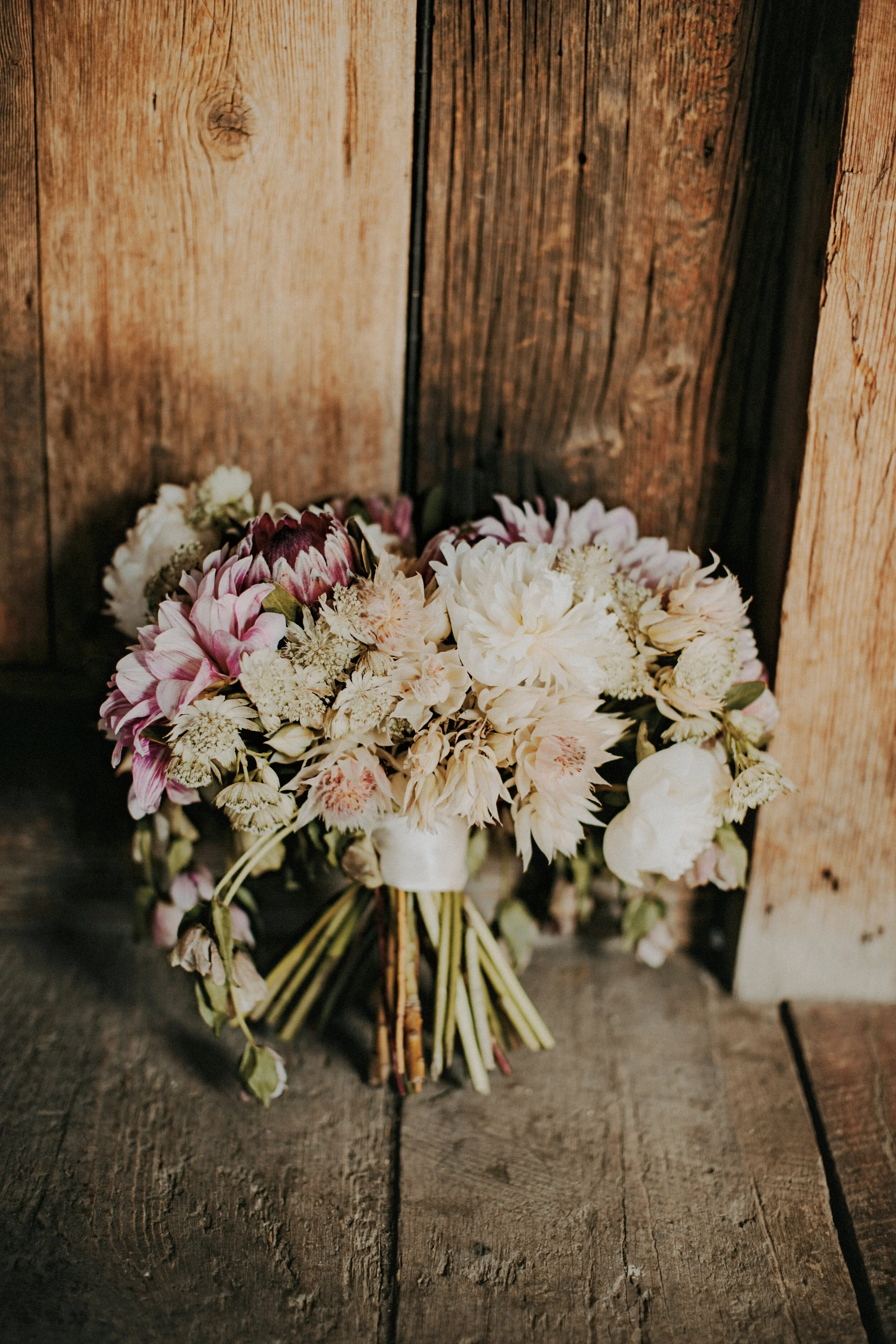 Coetzee.Turk-Blog 7.JPG