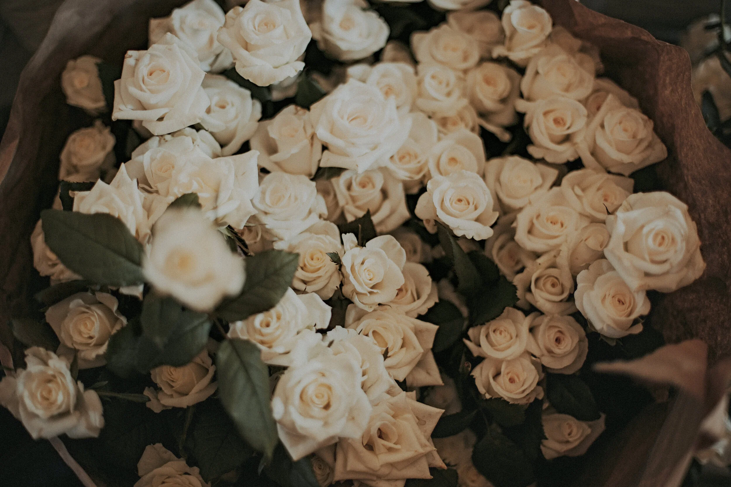 Coetzee.Turk-Blog 9.JPG