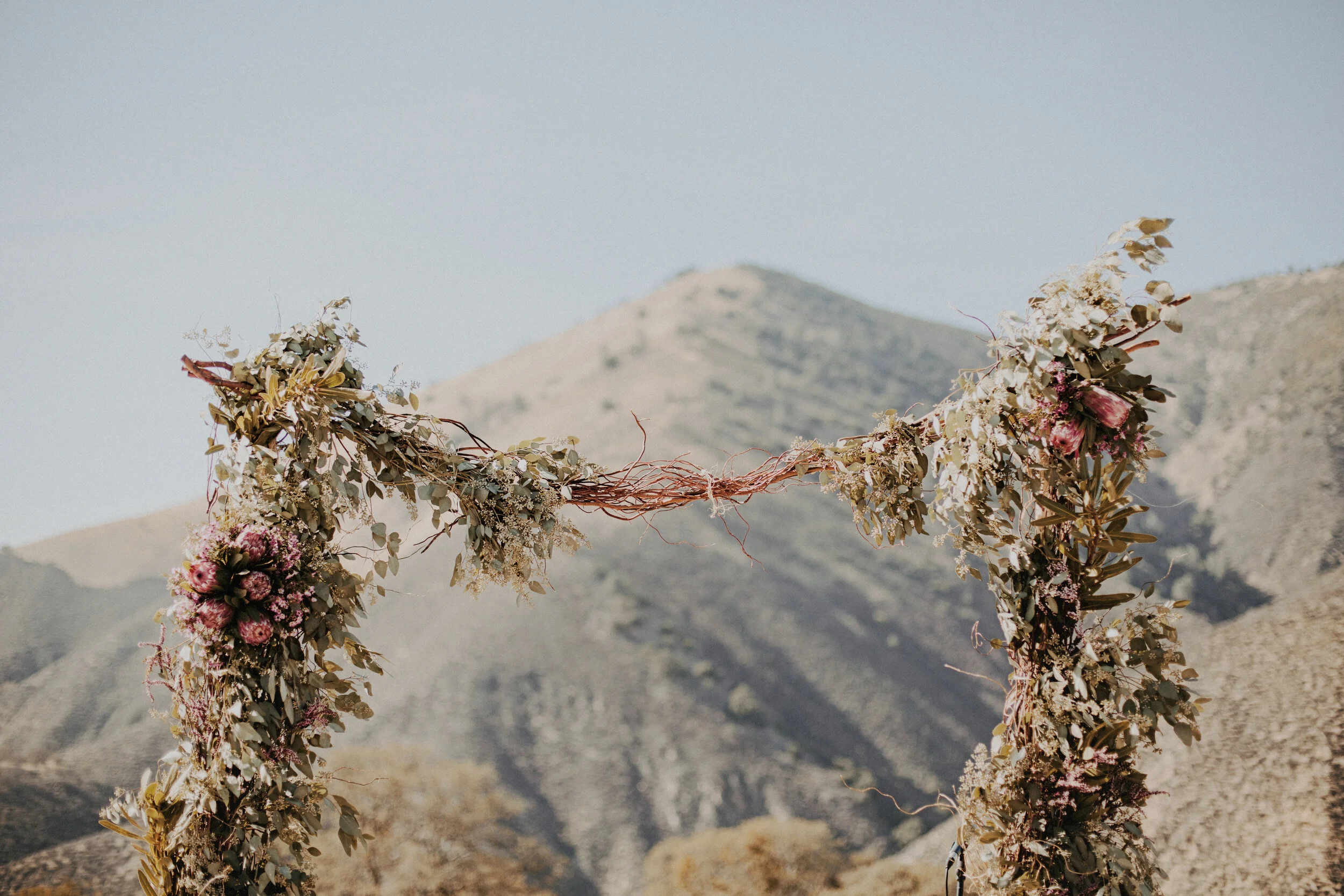 Coetzee.Turk-Blog 16.JPG