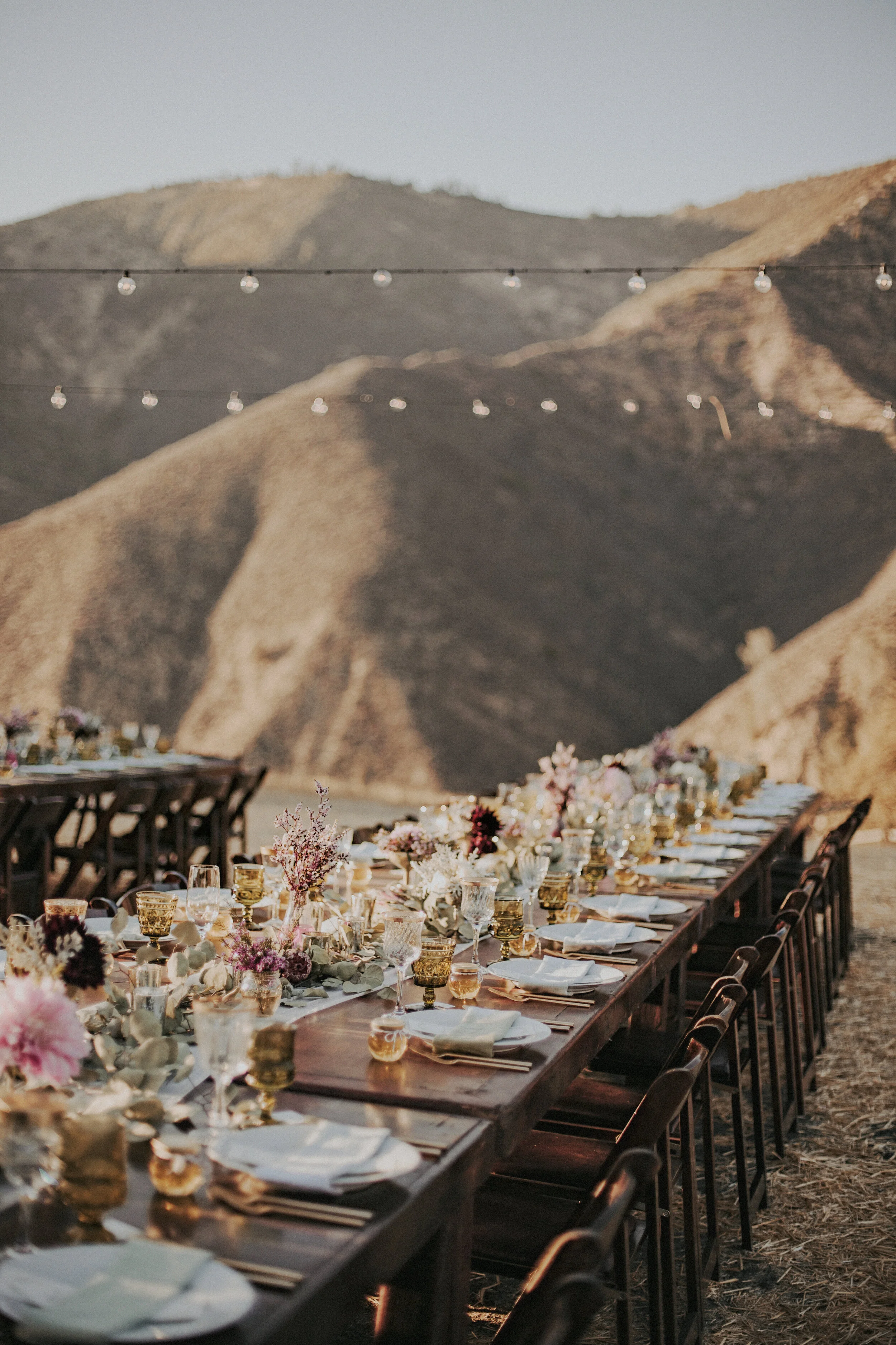 Coetzee.Turk-Blog 27.JPG