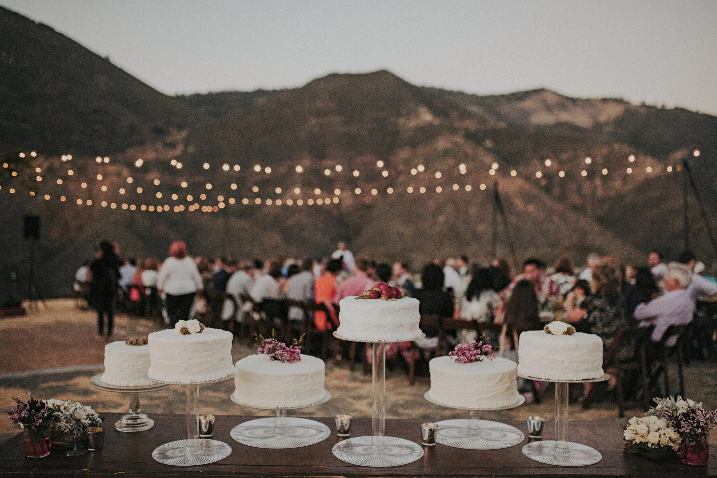 Coetzee.Turk-Blog 32.JPG