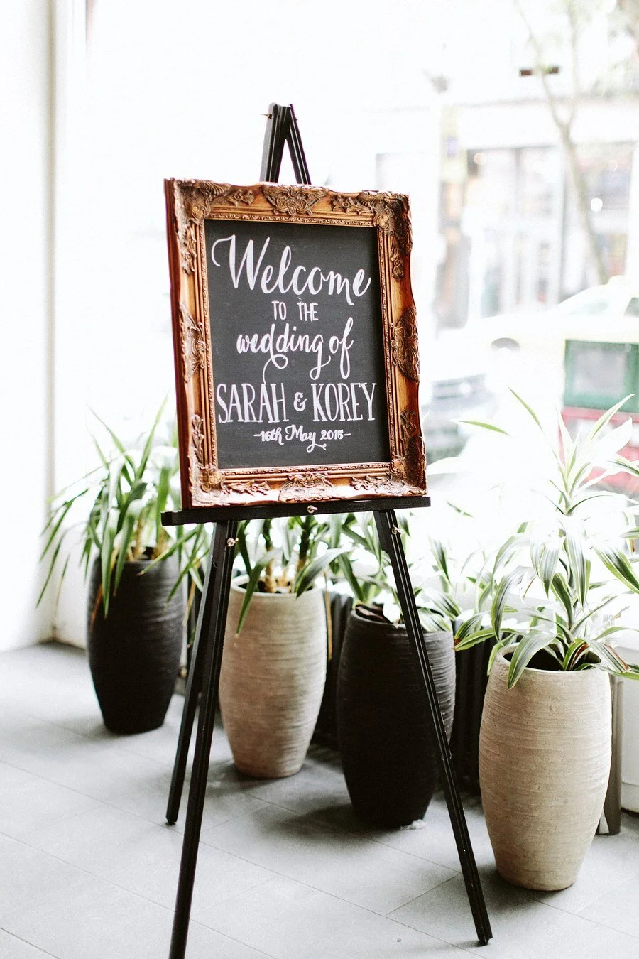 Sarah.Korey- Blog 17.JPG